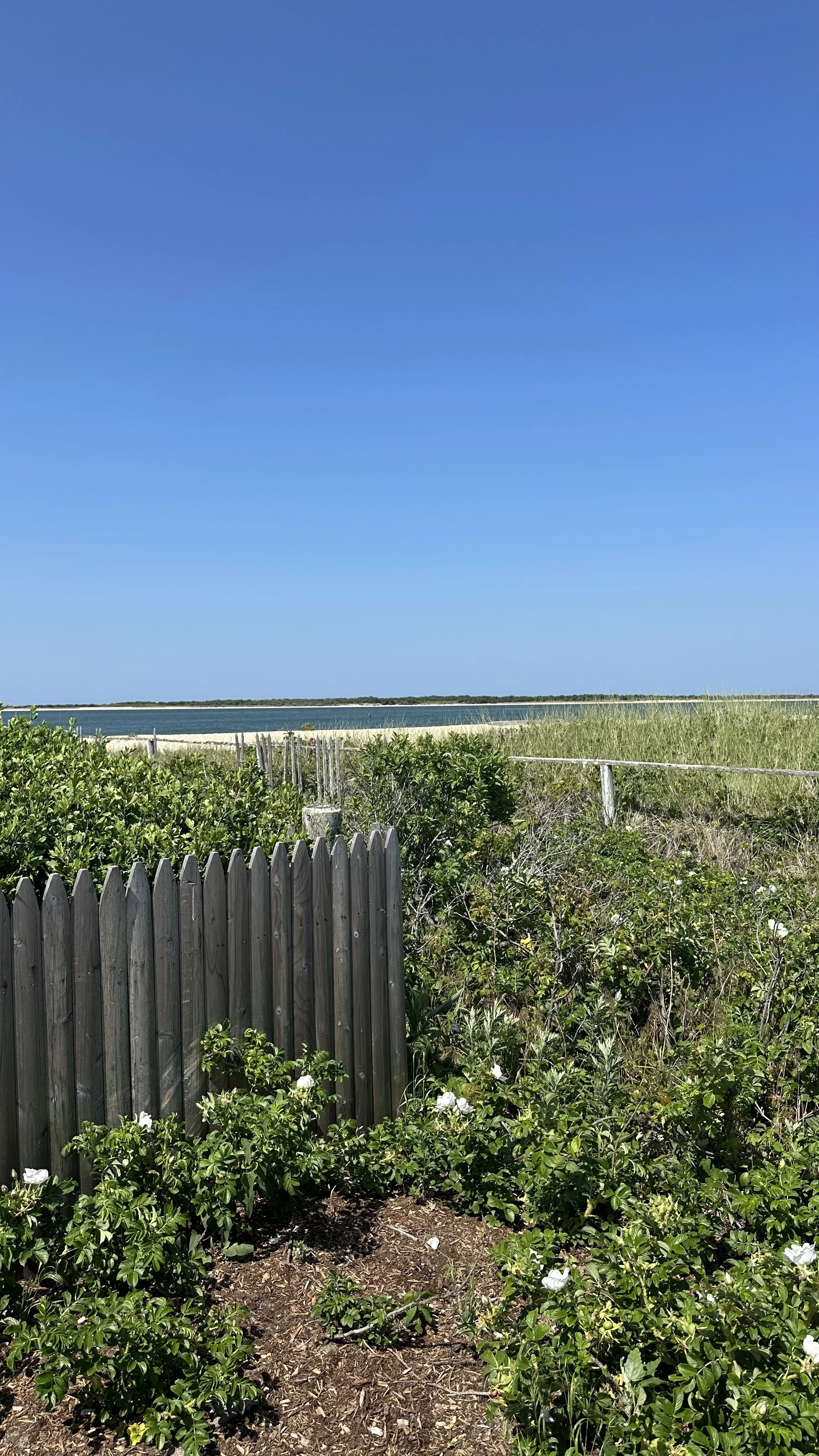 IMG_2684.jpg