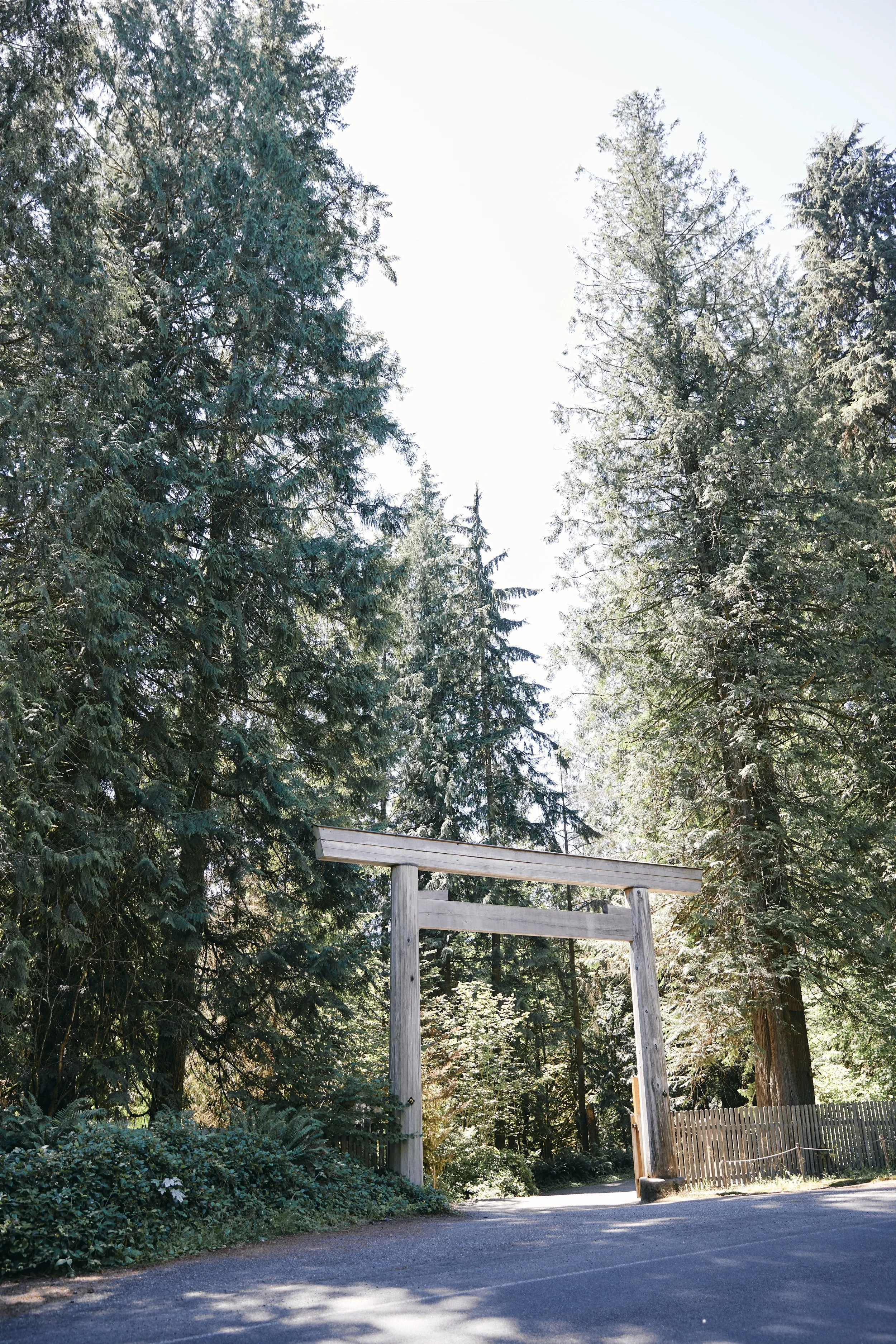 0F4A5350.jpg
