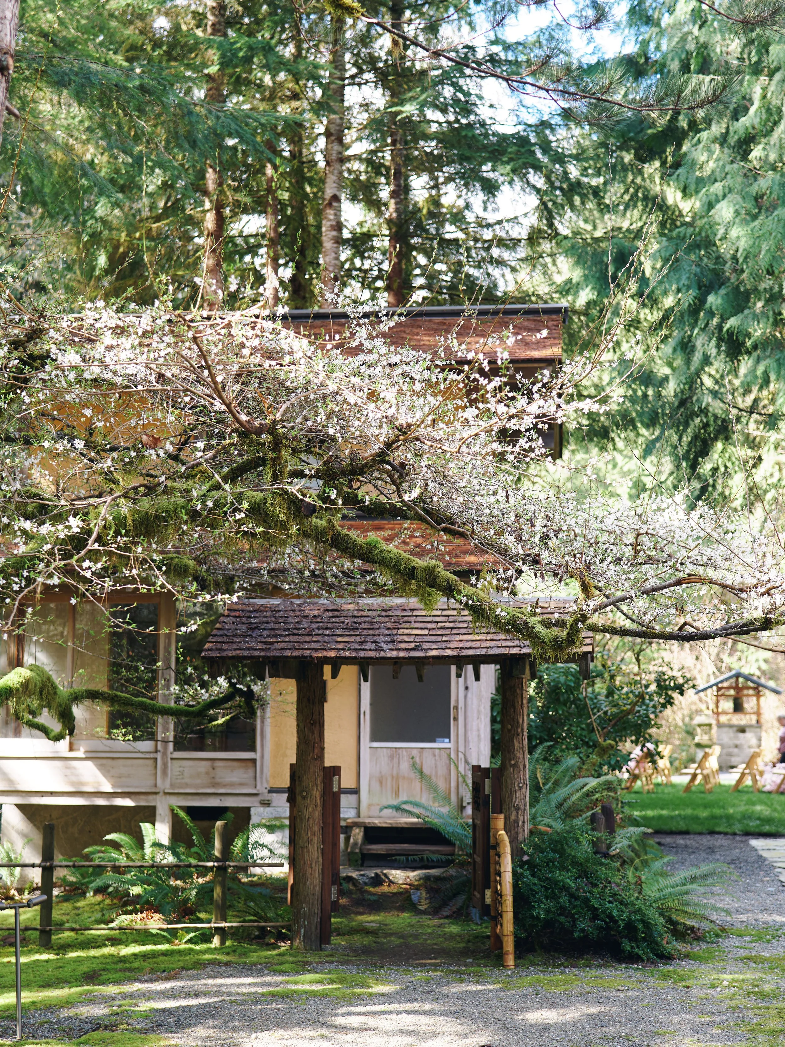 Japanese garden and tea house at Saiuen Gardens