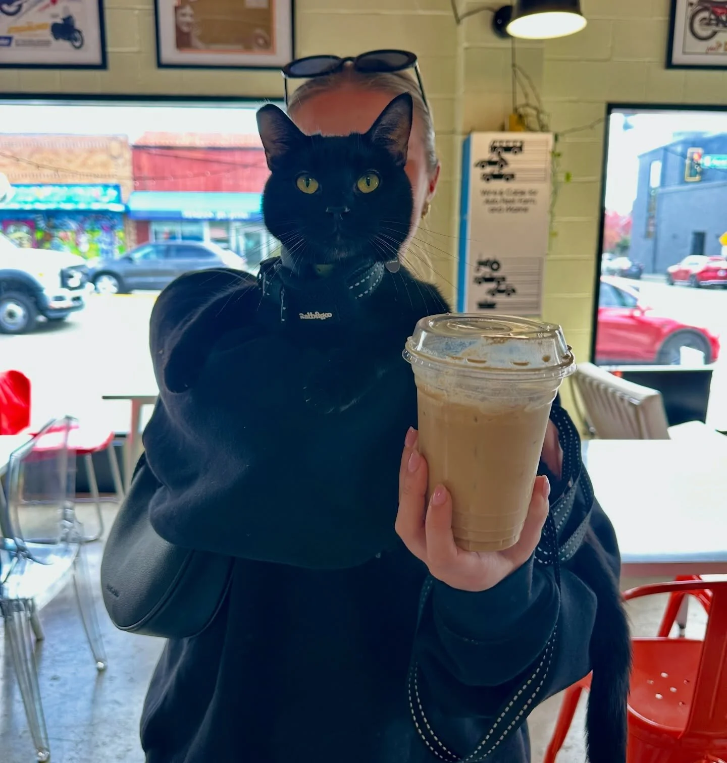 Bad Kitty for a reasonably-good Kitty. 

#🐈