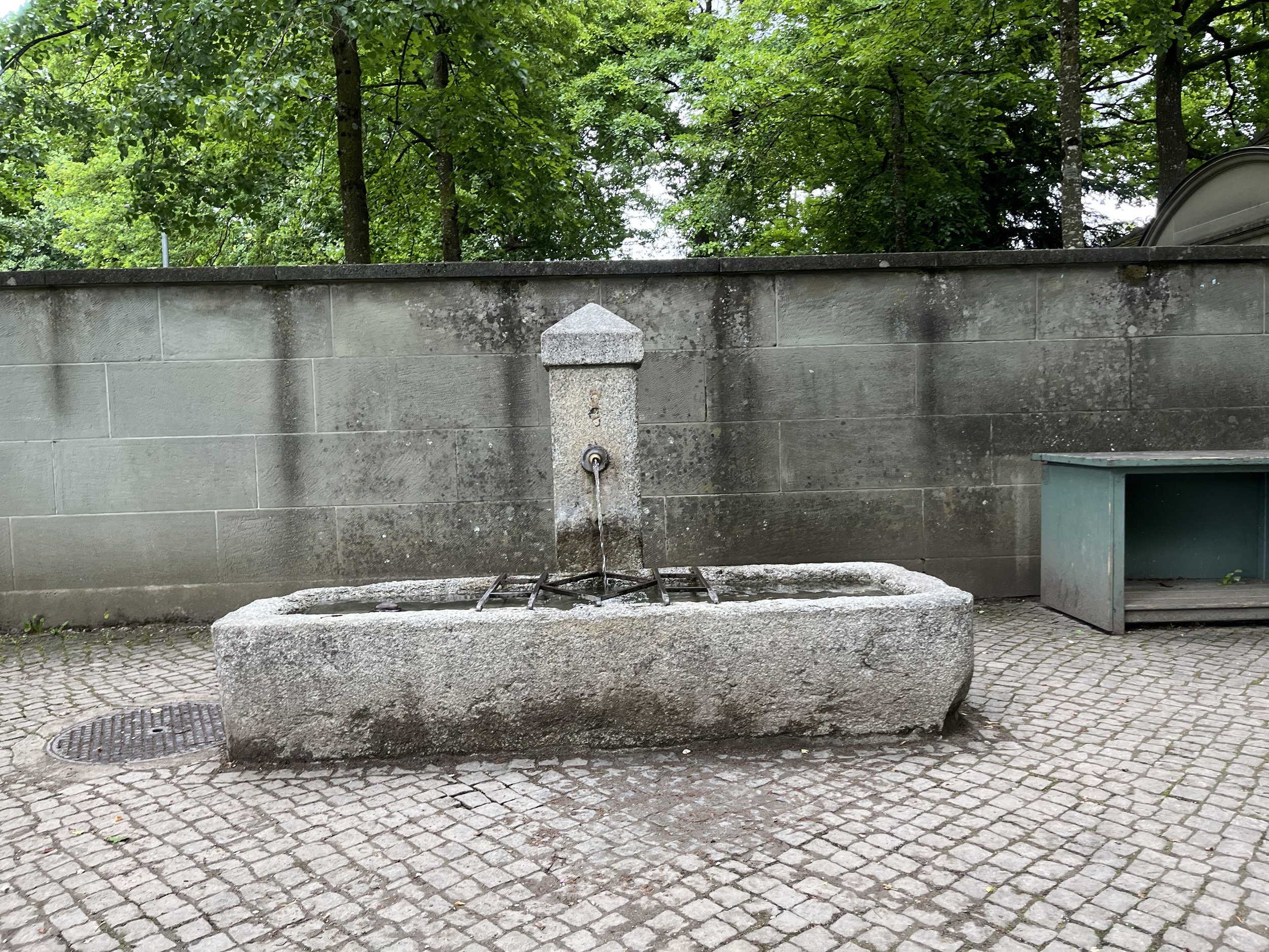 IMG_7687.jpeg