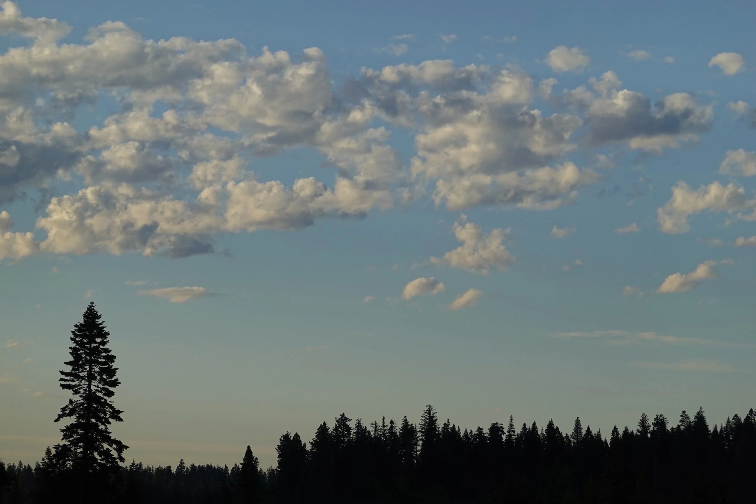 DSC01378.jpeg