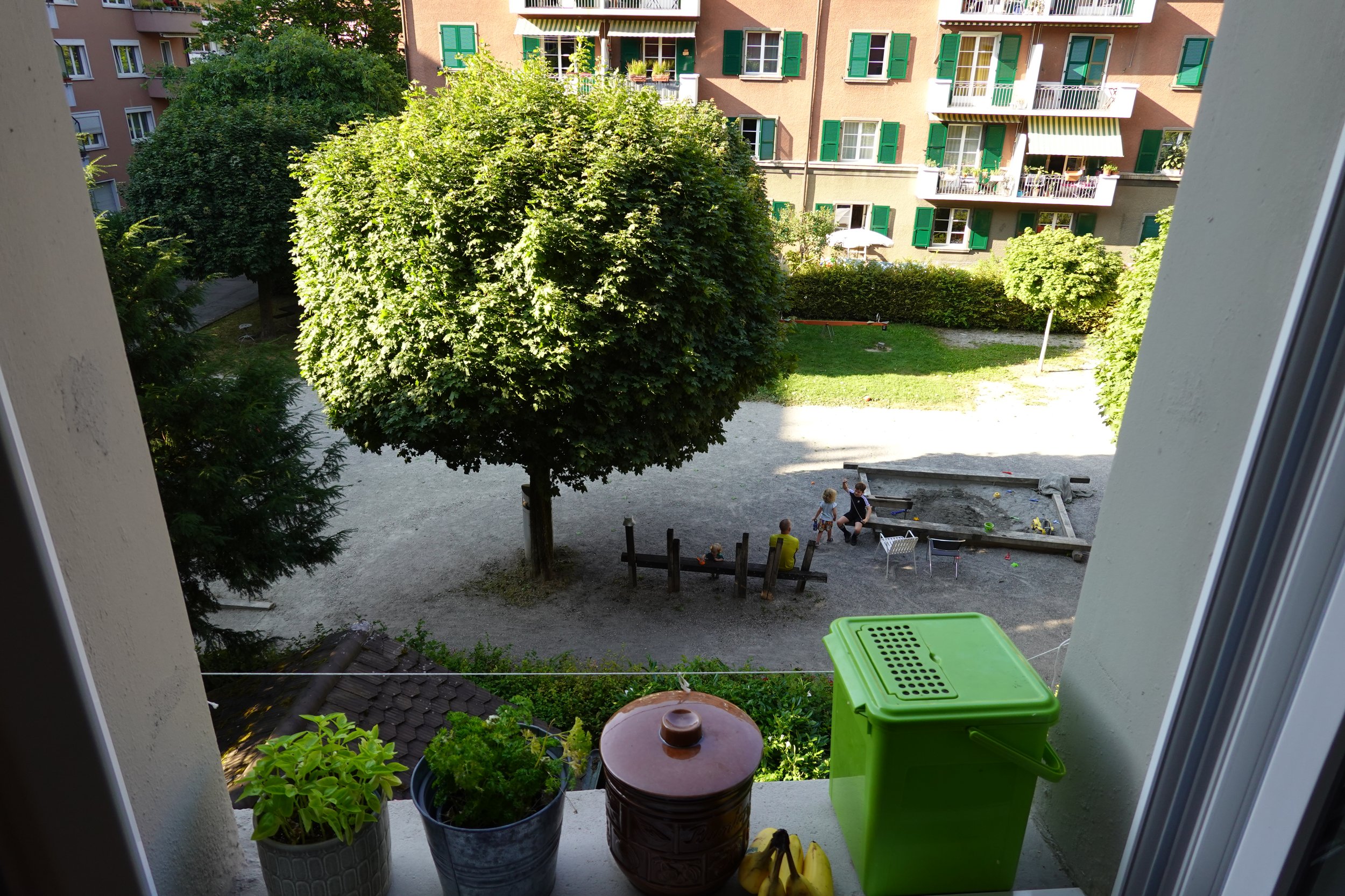DSC03138.jpeg