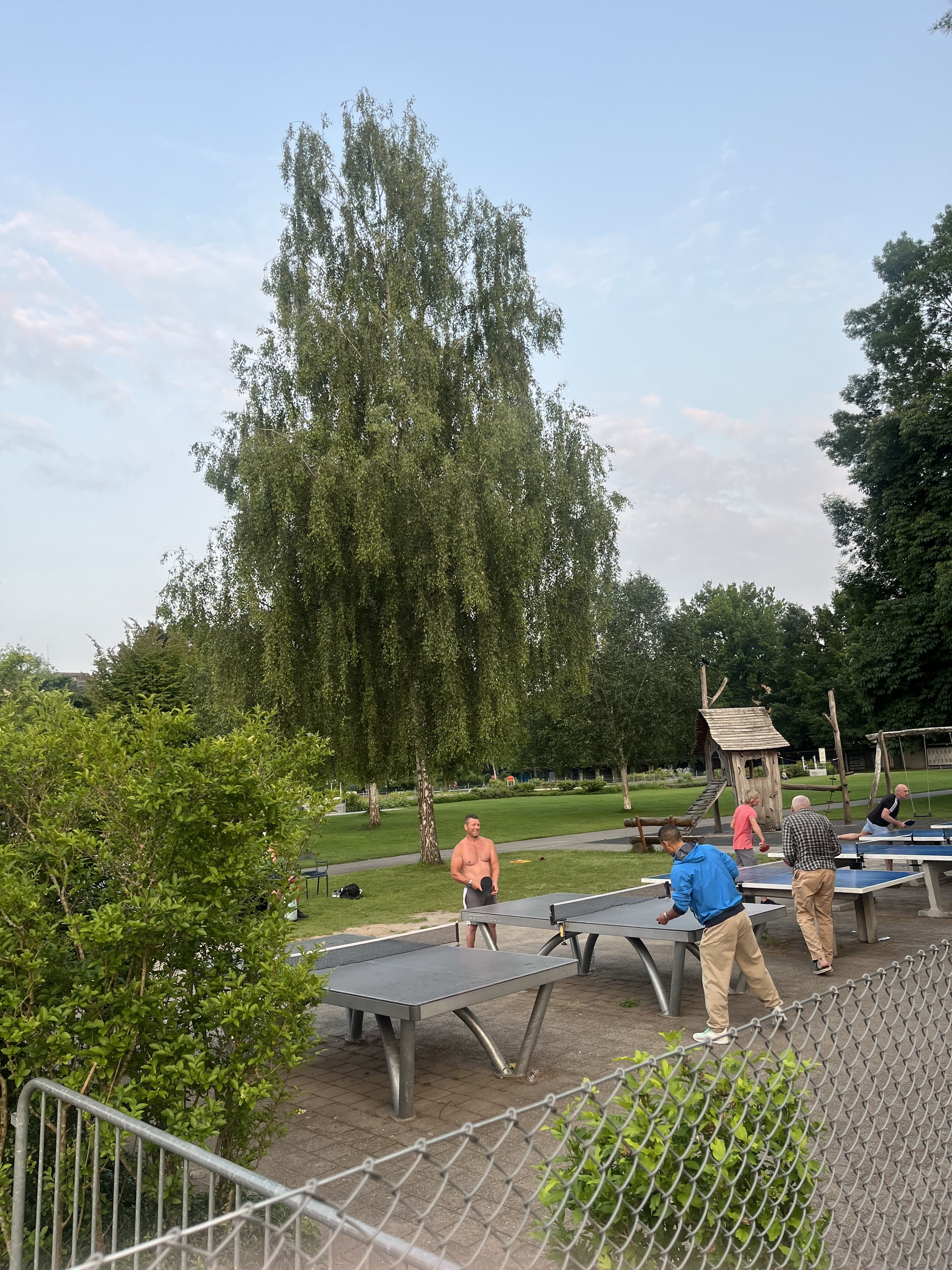 IMG_7880.jpeg