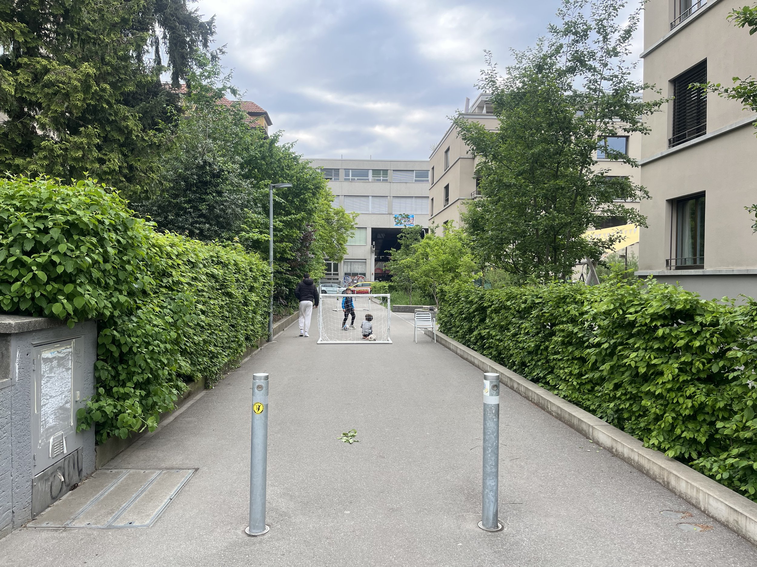 IMG_7461.jpeg