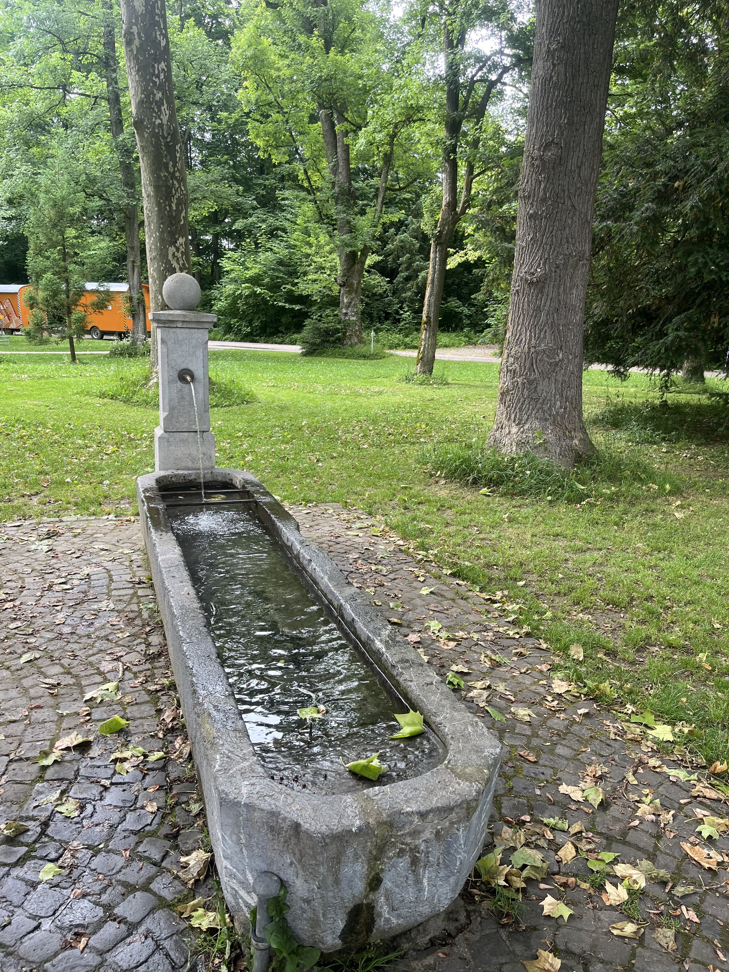 IMG_7832.jpeg