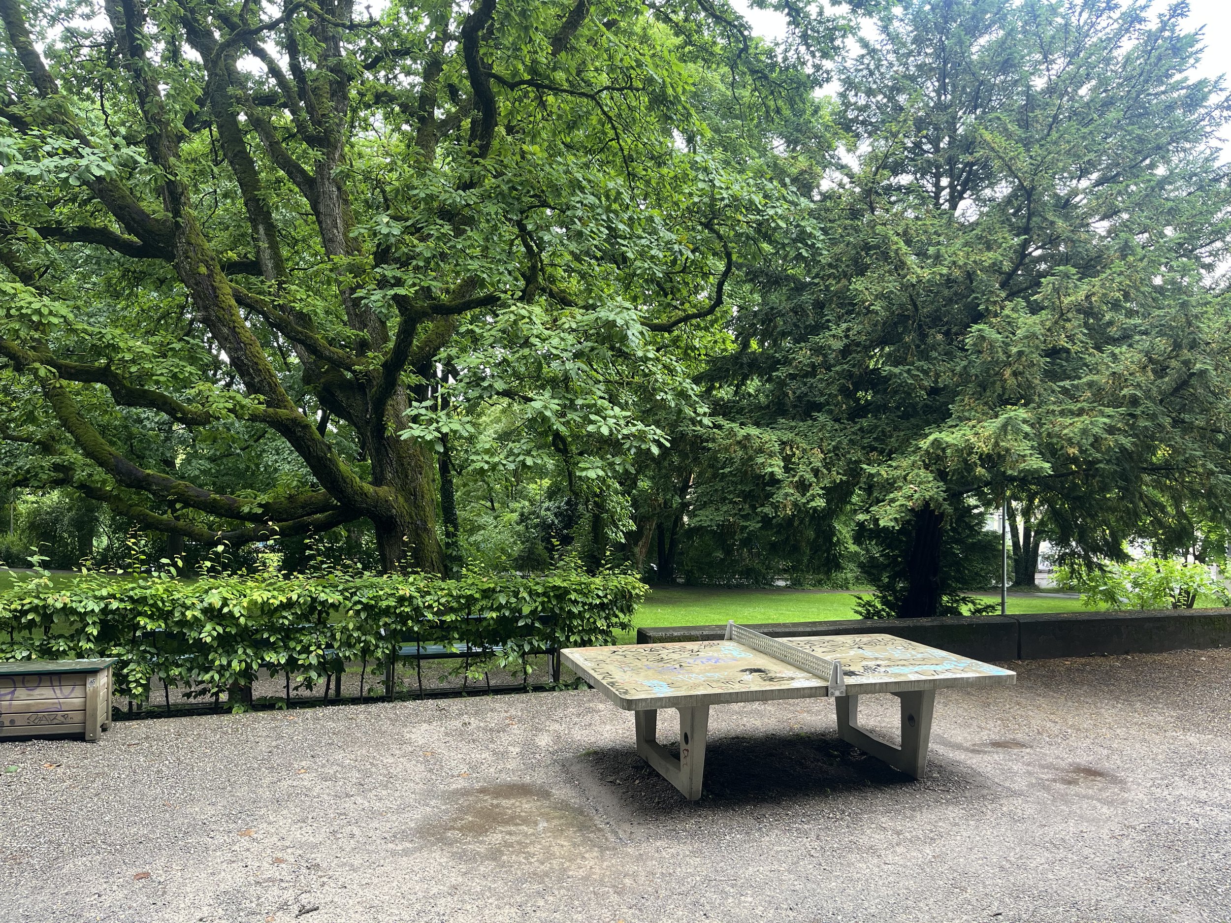 IMG_7849.jpeg