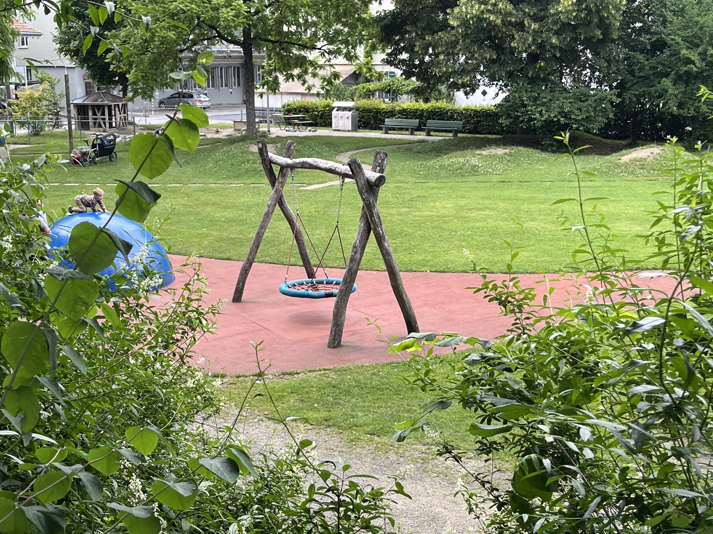 IMG_7837.jpeg