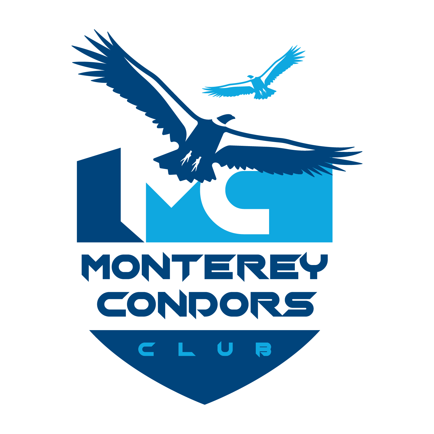 5v5 Monterey Condor Tournament