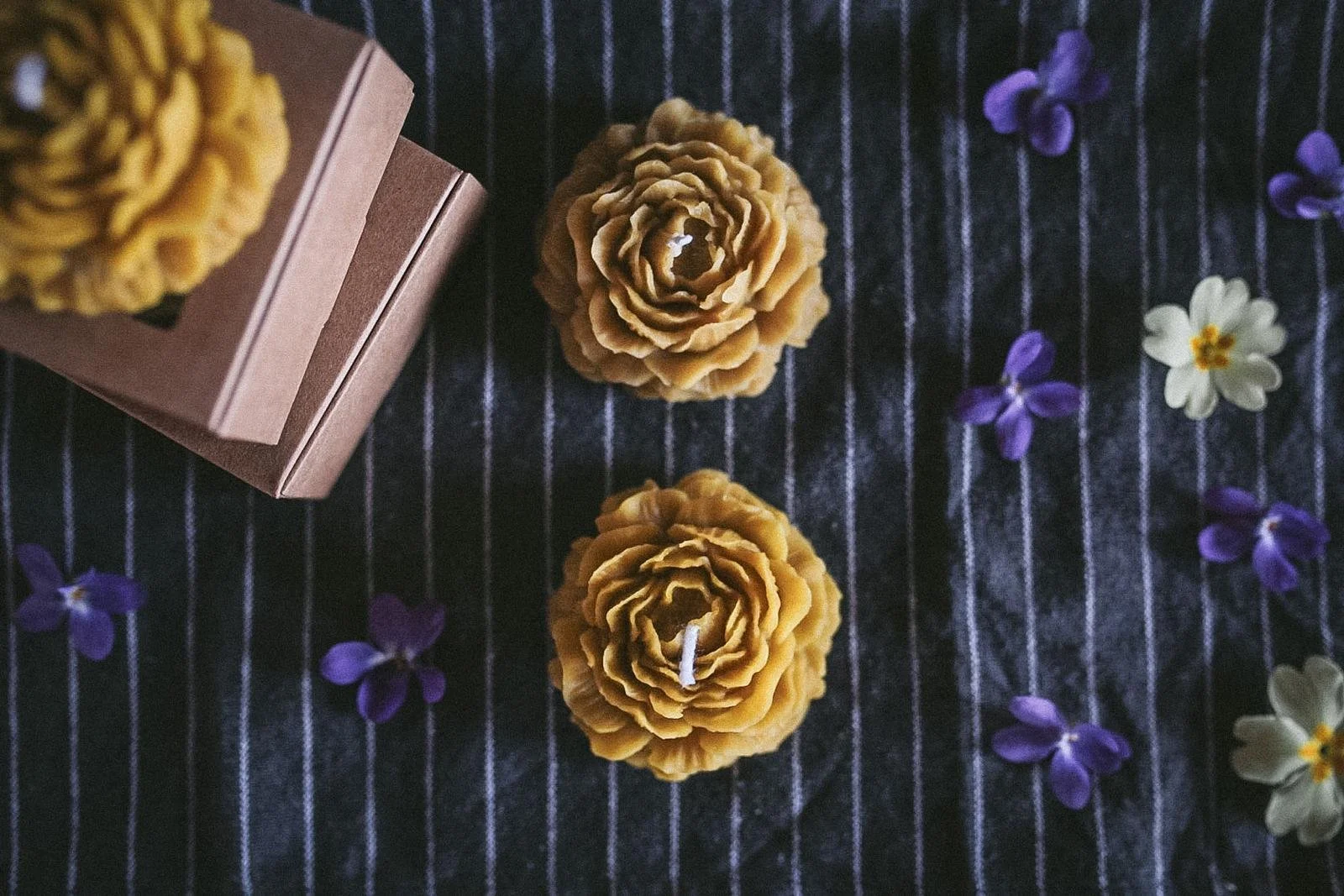 WhatsApp Image 2026-03-16 at 17.40.05.jpeg