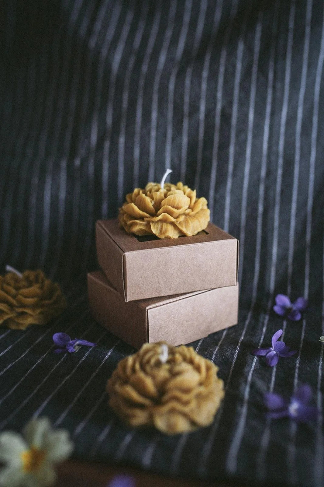 WhatsApp Image 2026-03-16 at 17.40.04.jpeg