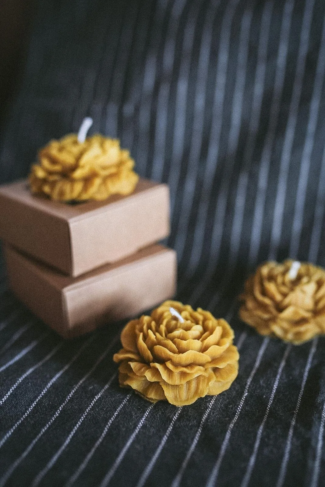 WhatsApp Image 2026-03-16 at 17.40.06.jpeg