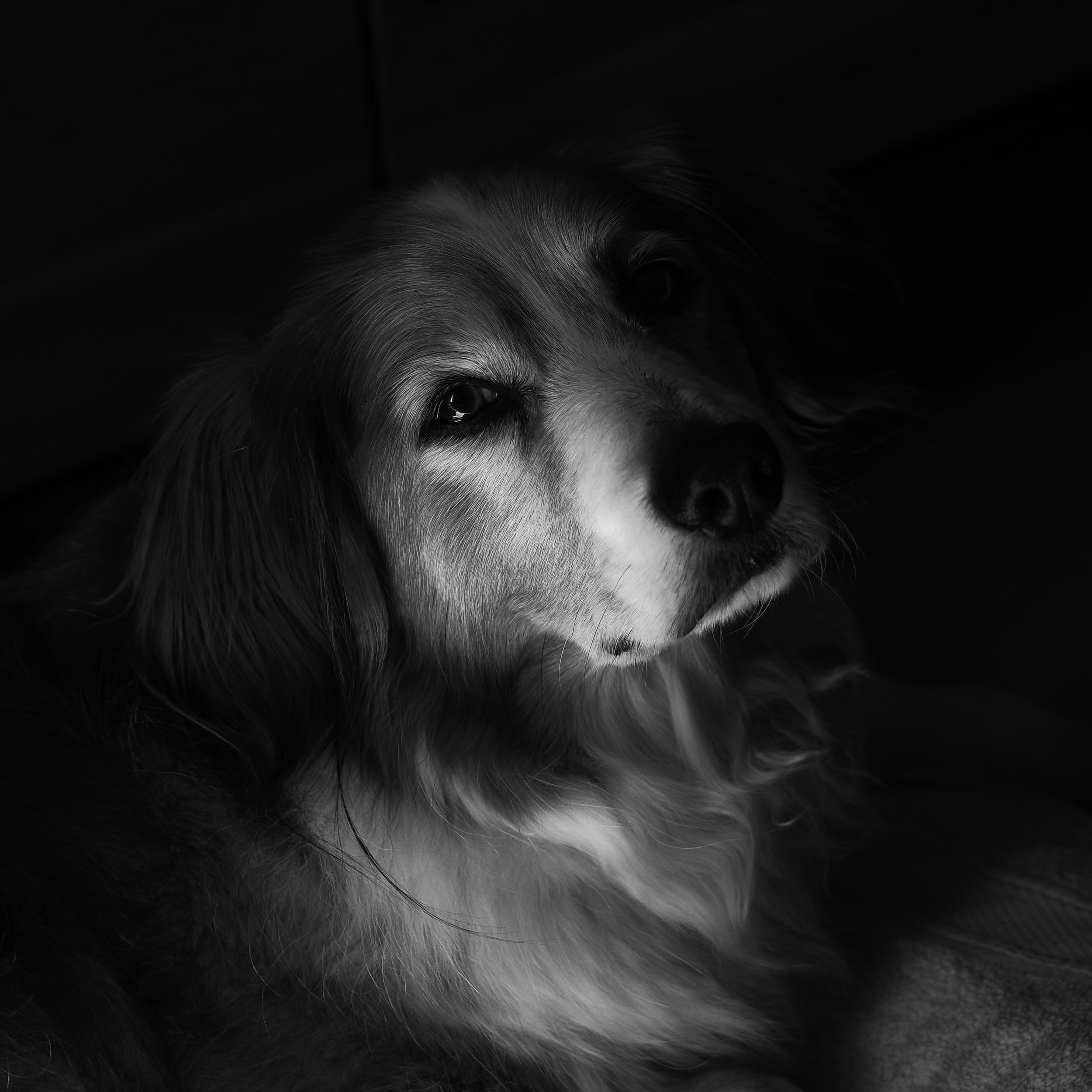 Magda Bakker P7012208.jpeg