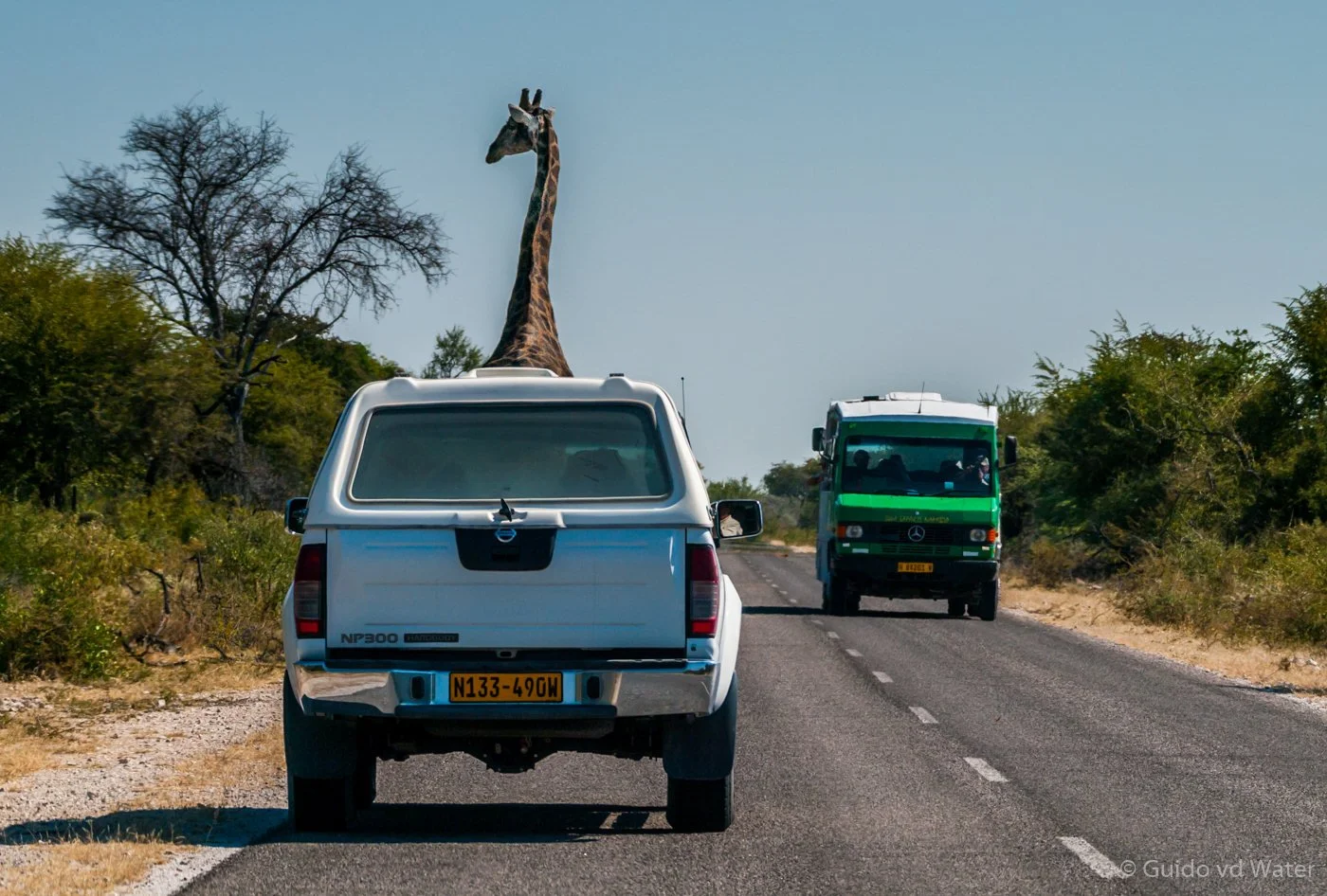 026 - Giraffe in jeep.jpg