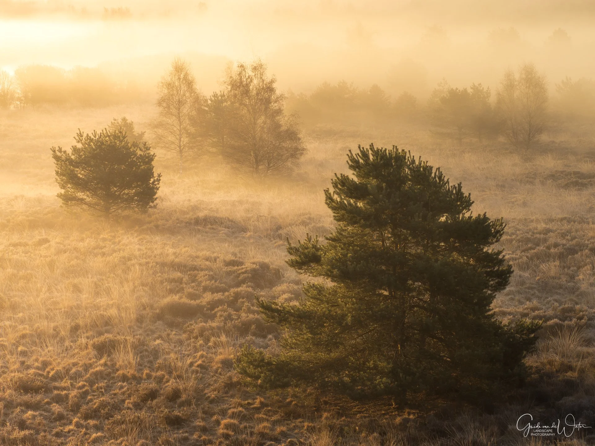 GW250439-HDR260401-KL.jpg