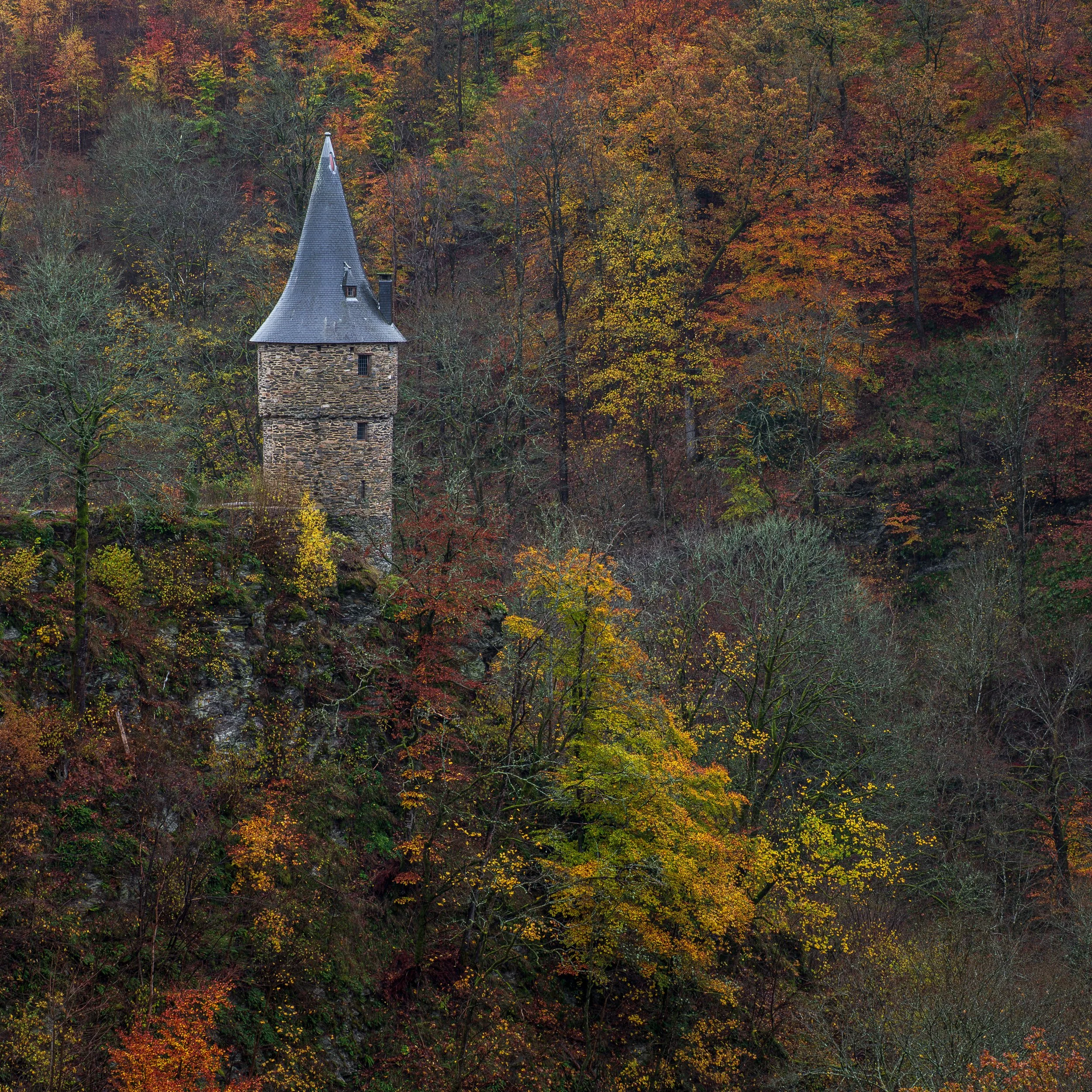 P1016755251101-ORI.jpg