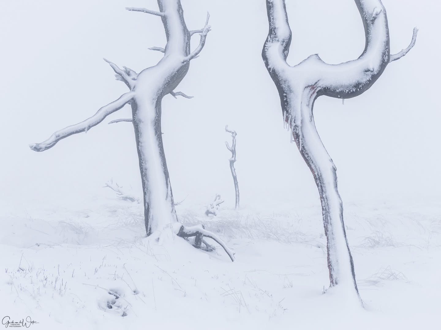 Bizarre conditions on my latest photography trip. Watch my YouTube channel to see how I captured this image on location. Link to the channel in my bio! OM System OM-1 mkii, 80mm, iso400, f8, 1/200s.
#omdigitalsolutions 
#omsystemcameras 
#omsystemamb