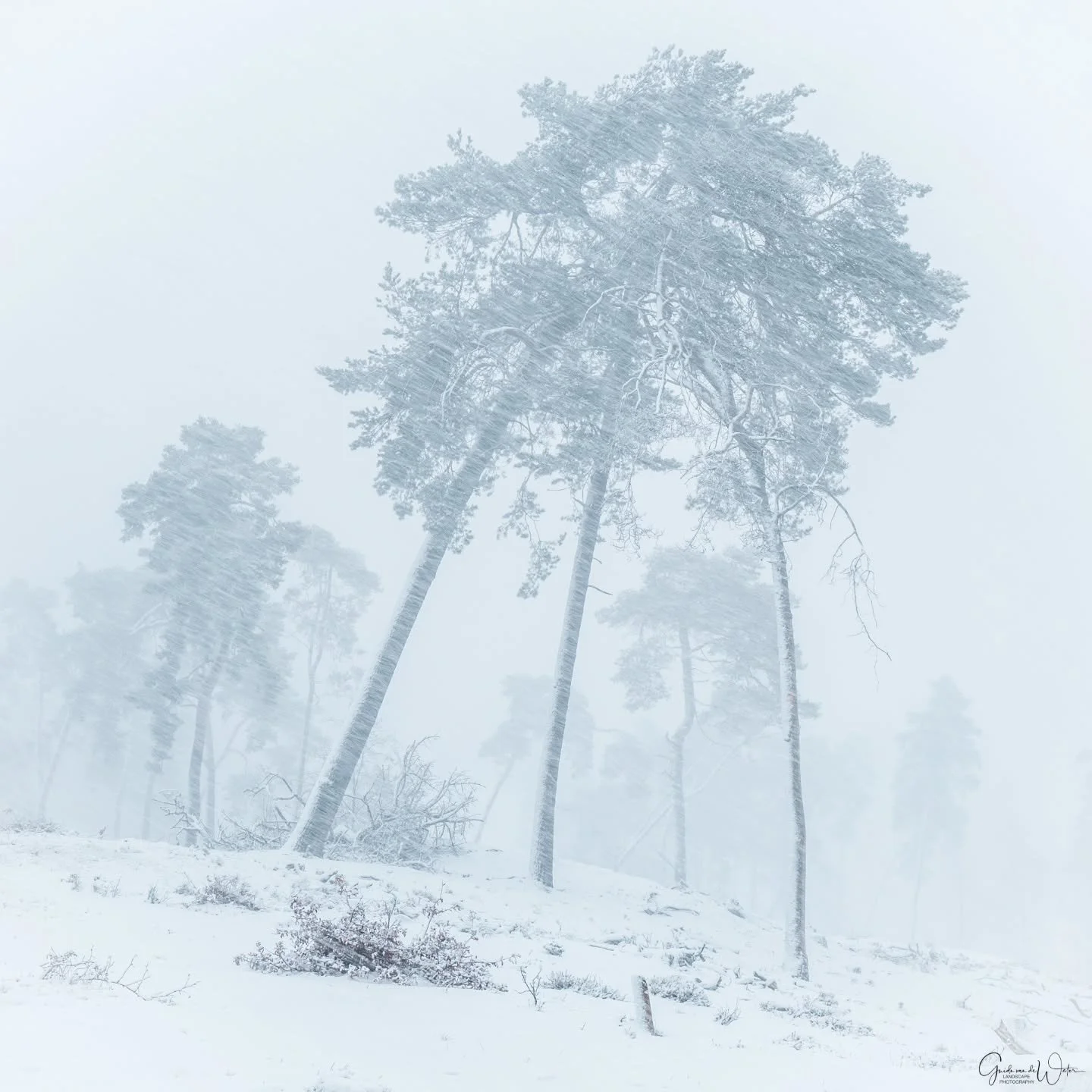 Winter magic. Watch how I catured this and all other images from this trip in my latest YouTube video on my landscape - nature photography channel. Link in my bio. OM system OM-1 MKII, 50-200 F2.8 PRO, 48MM, F4.5, ISO800, 1/20S
#omsystemcameras 
#oms
