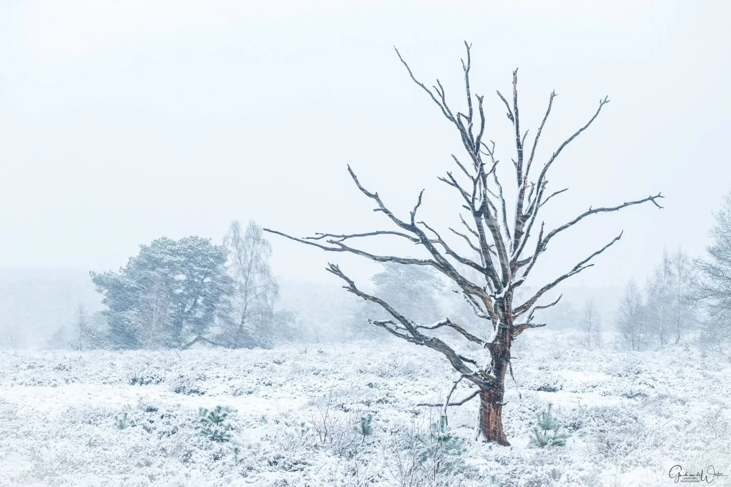 Winter magic. Watch how I catured this and all other images from this trip in my latest YouTube video on my landscape - nature photography channel. Link in my bio. OM system OM-1 MKII, 50-200 F2.8 PRO, 56MM, F4.5, ISO800, 1/20S
#omsystemcameras 
#oms