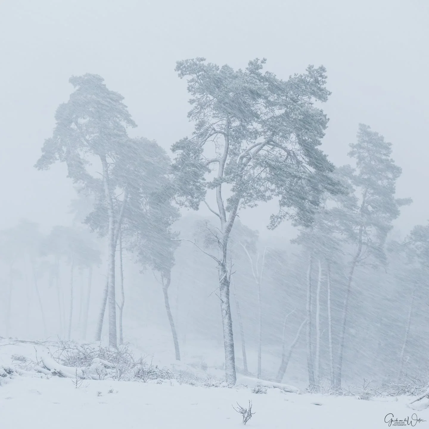 Winter magic. Watch how I catured this and all other images from this trip in my latest YouTube video on my landscape - nature photography channel. Link in my bio. OM system OM-1 MKII, 50-200 F2.8 PRO, 50MM, F4.5, ISO800, 1/20S
#omsystemcameras 
#oms