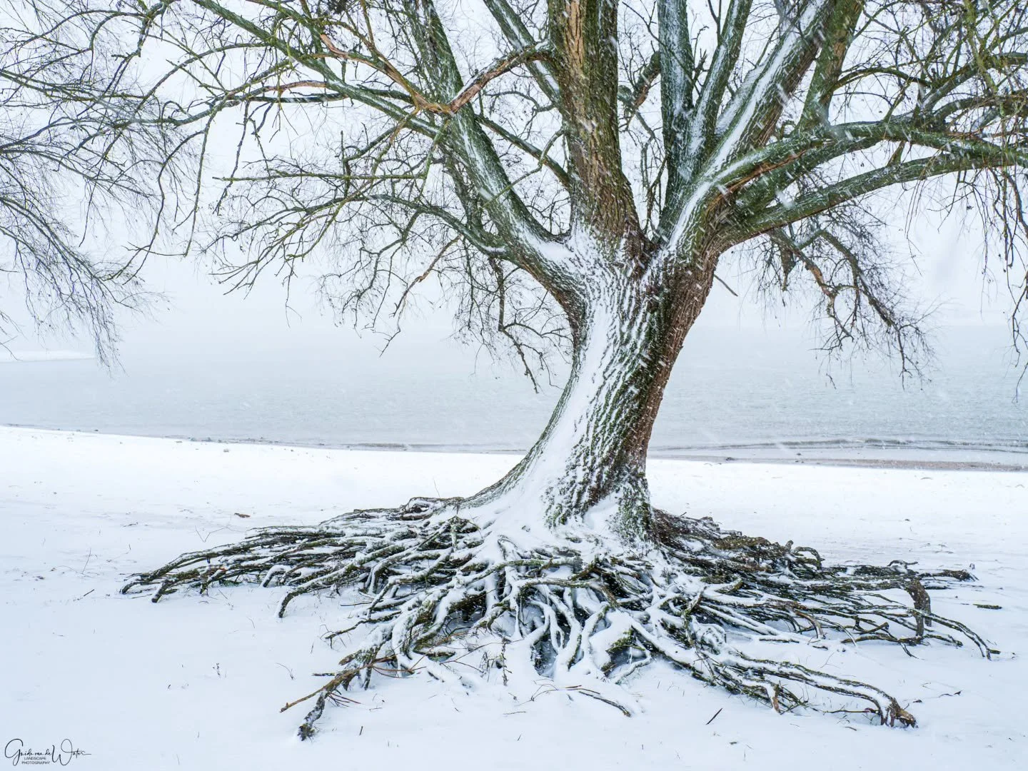 Crazy conditions in my latest YouTube video. Watch how I catured this and all other images from this trip in my latest YouTube video on my landscape - nature photography channel. Link in my bio. OM system OM-1 MKII, 12-100 f4 PRO, 32MM, F5, ISO800, 1
