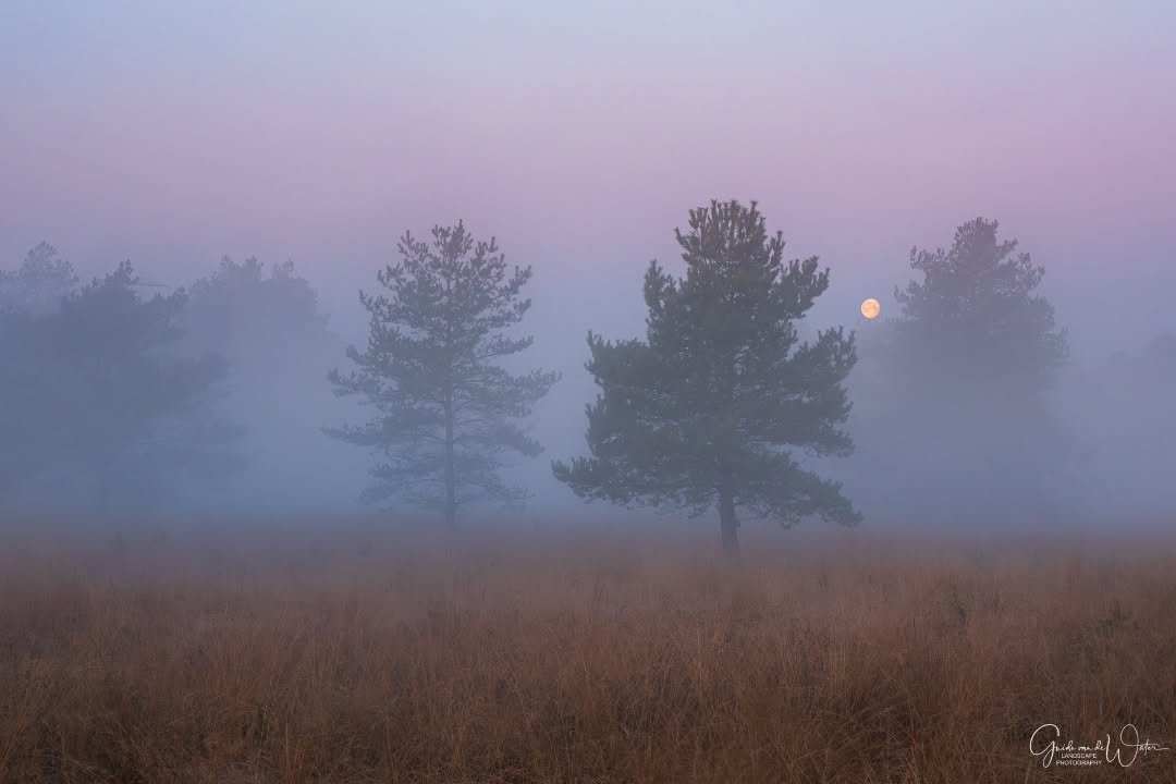 Twilight. Watch how I catured this and all my other images on my landscape - nature photography YouTube channel. Link in my bio. OM system OM-1 MKII, 50-200 F2.8 PRO, 54MM, F7.1, ISO400, 1/10S
#omsystem 
#cameranu_nl 
#geldersestreken 
#natuurfotogra