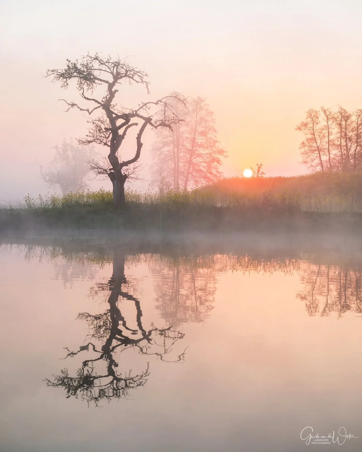 Reflection. Watch how I catured this and all my other images on my landscape - nature photography YouTube channel. Link in my bio. OM system OM-1 MKII, 50-200 F2.8 PRO, 58MM, F5, ISO400, 1/125S
#omsystem 
#cameranu_nl 
#hollandgram 
#natuurfotografie