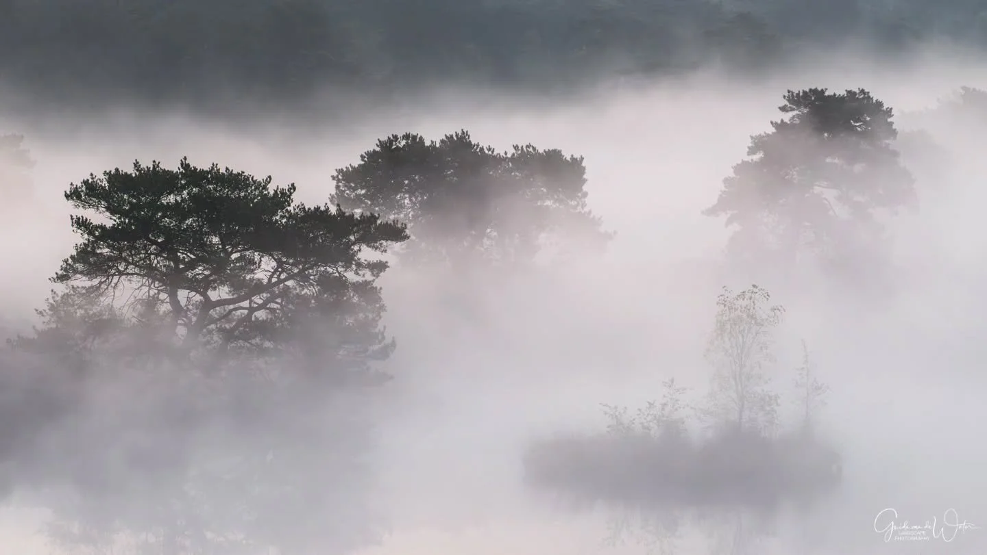 I love a moody morning! Watch my latest YouTube video to see how I captured this image on location. Link to my YouTube channel in the bio. OM system OM-1 MKII, 50-200 F2.8 PRO, 158MM, F5.6, ISO200, 1/2S
#omsystem 
#cameranu_nl 
#hollandgram 
#natuurf