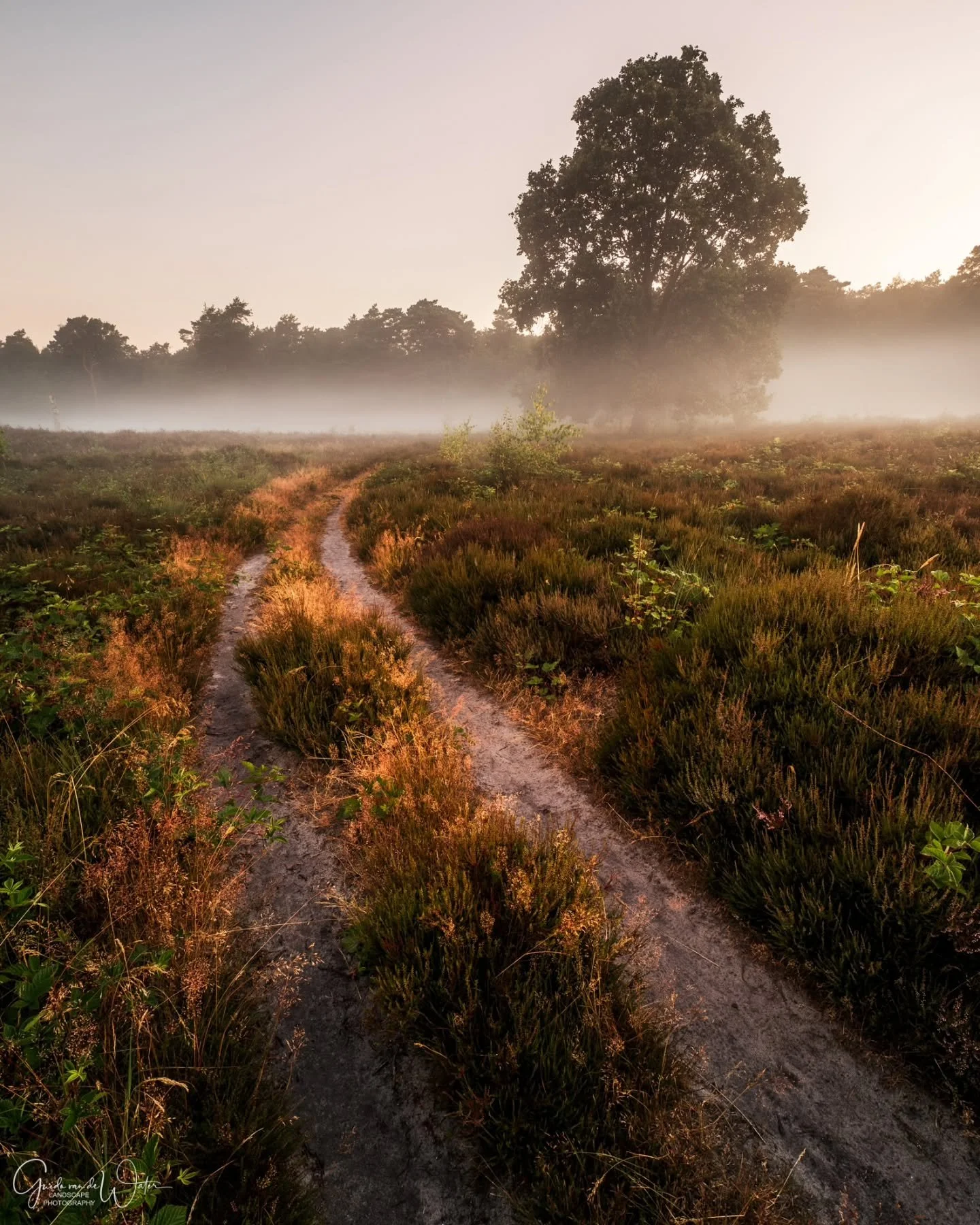 Leading line. Watch my YouTube videos to see how I captured all my image on location. Link to my YouTube channel in the bio. OM system OM-1 MKII, 8-25 f4 PRO, 8MM, F5.6, ISO200, 1/30S
#omsystem 
#cameranu_nl 
#hollandgram 
#natuurfotografie 
@omsyste