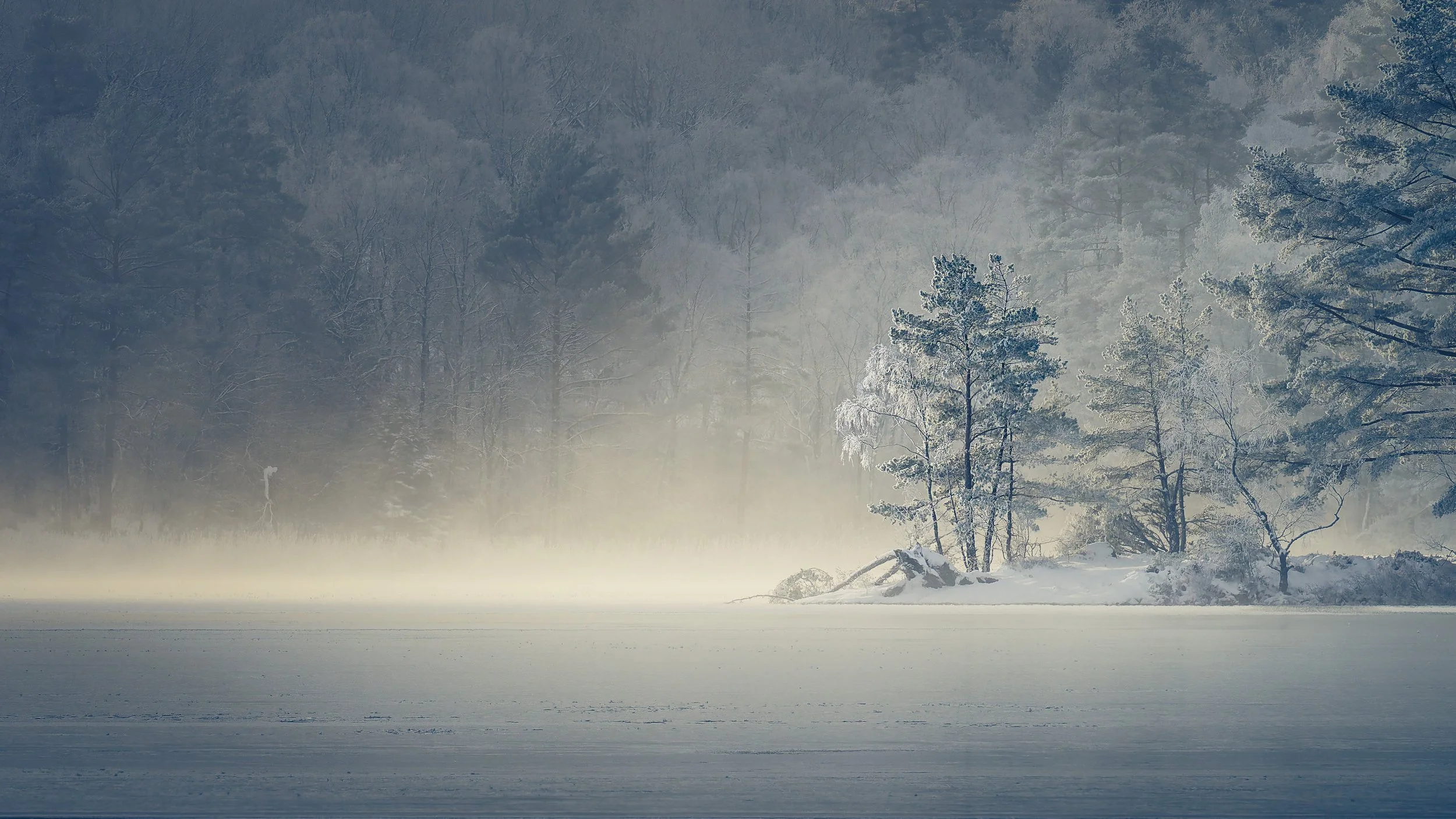 1ste place by Anders Claesson