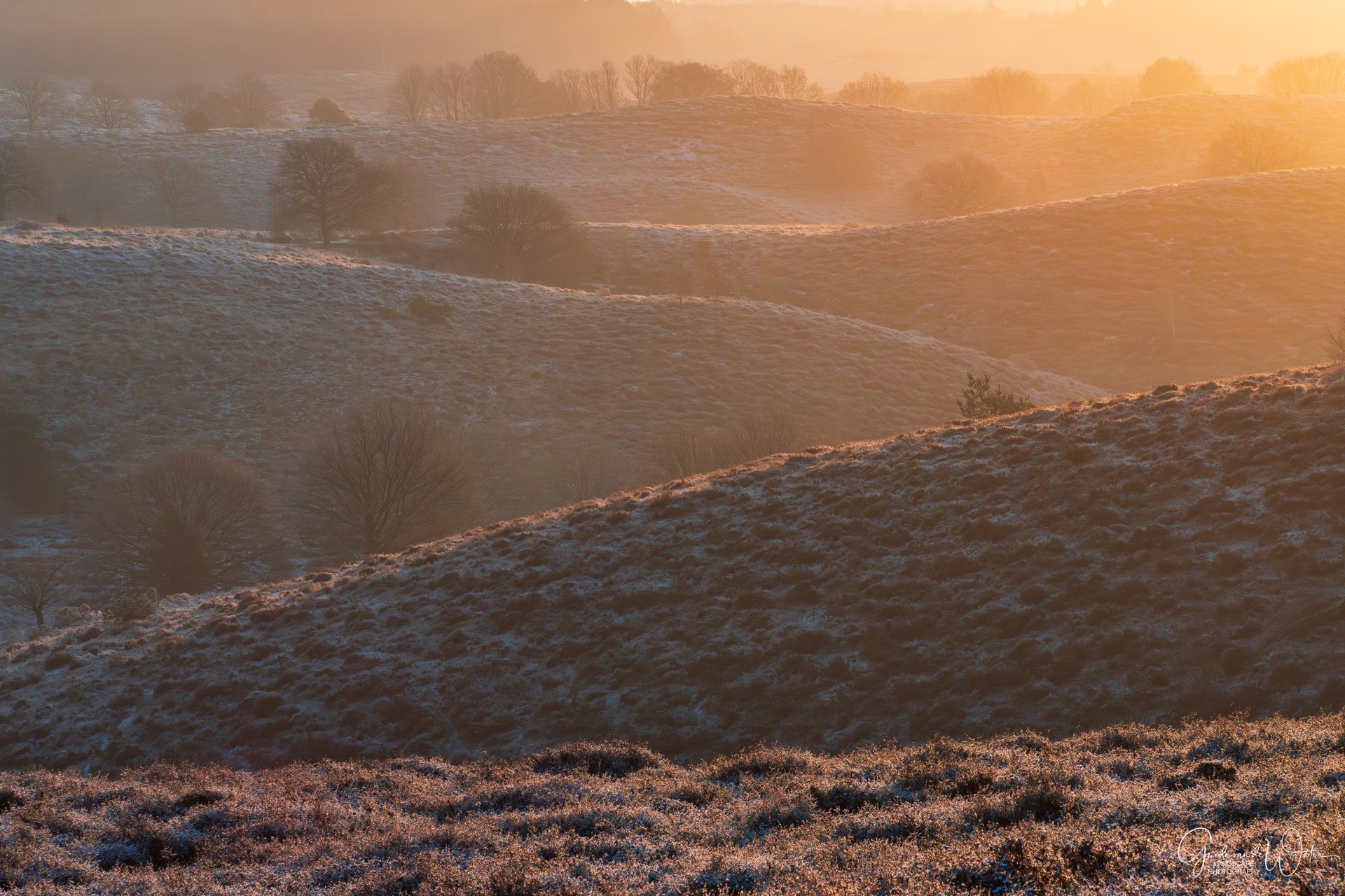 Sunset over rolling hills covered in light snow, with scattered trees and a hazy golden sky.