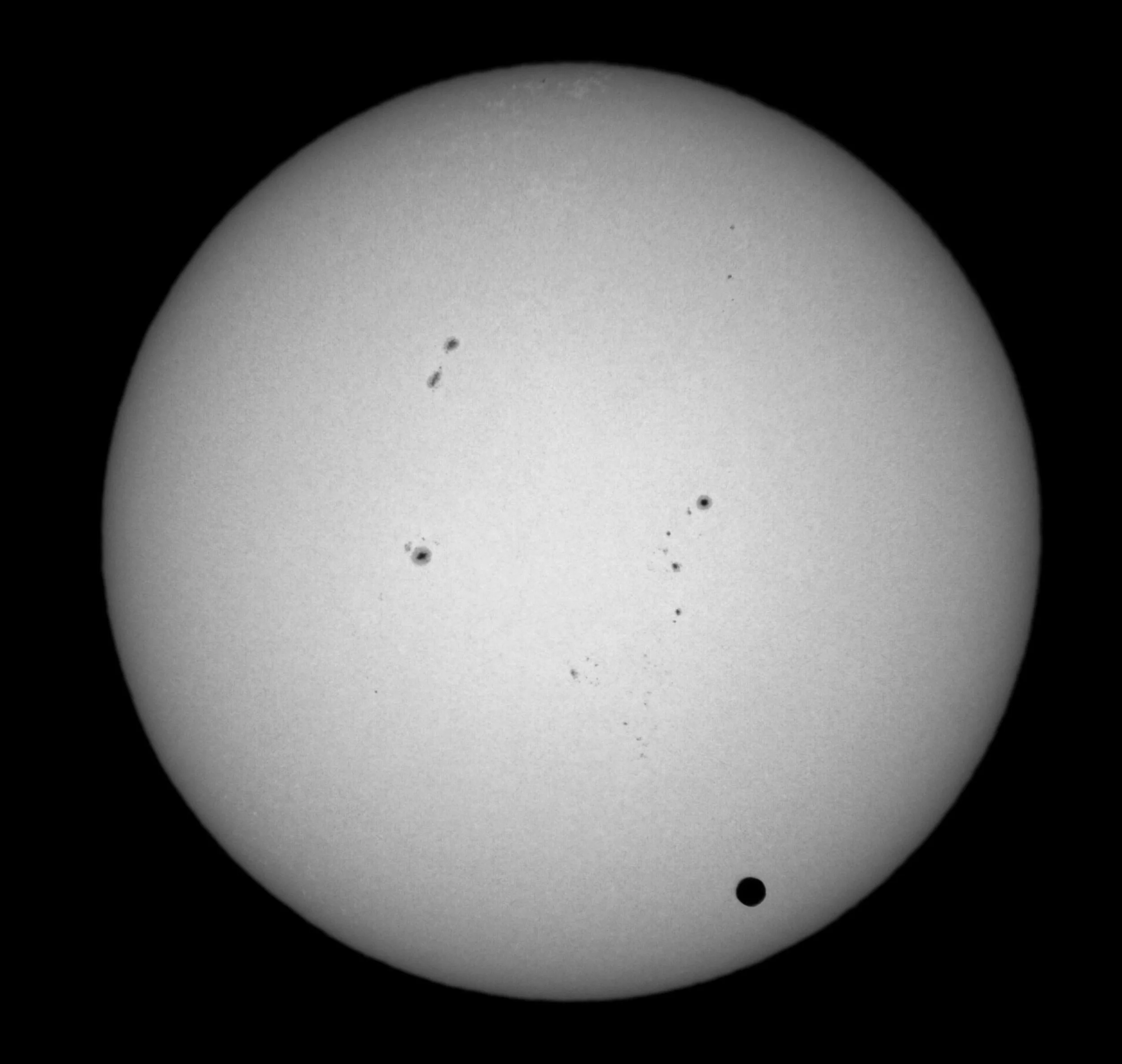 David Warren VenusTransit.jpg
