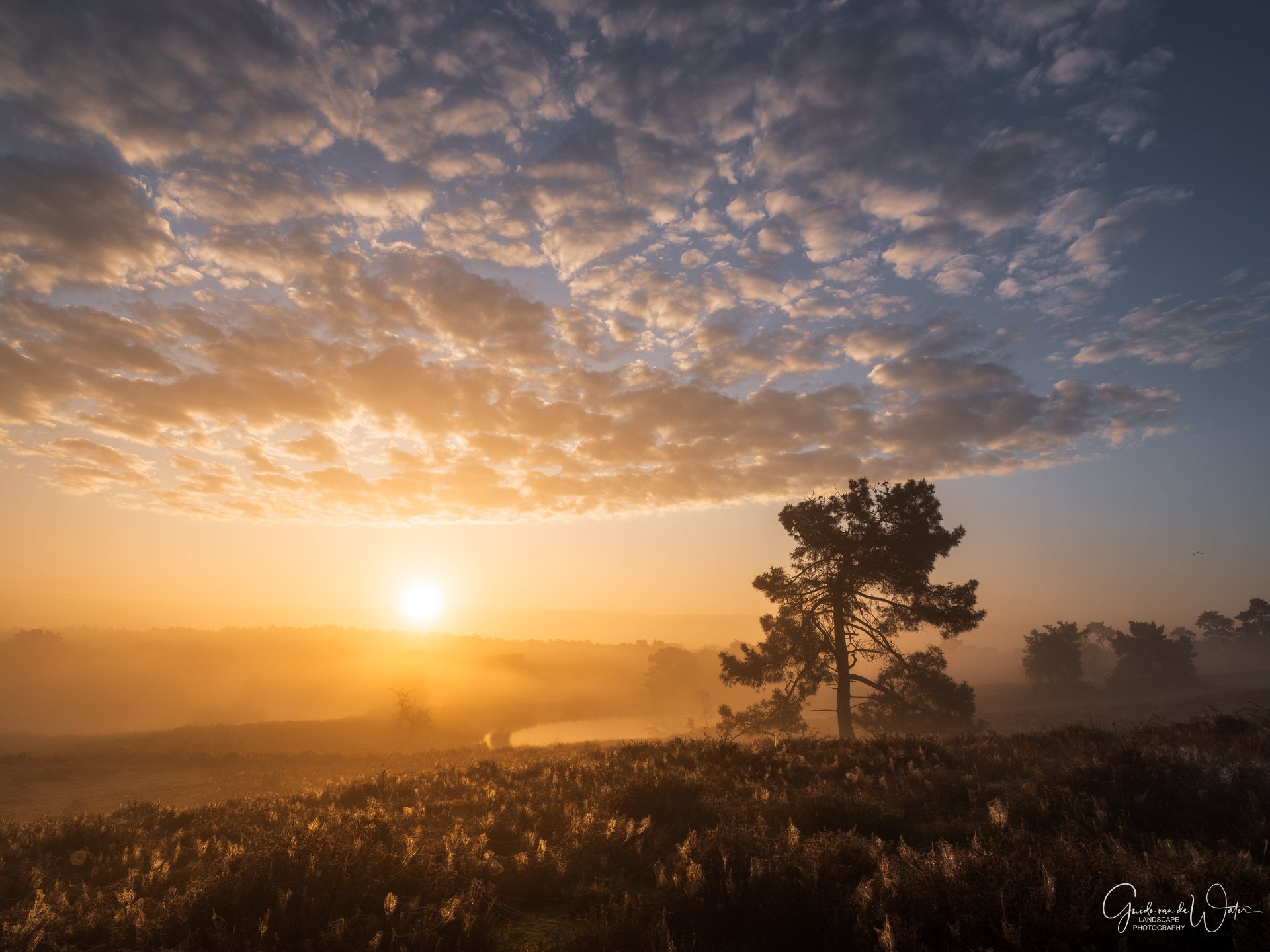 GW251848-HDR260419-KL-2.jpg