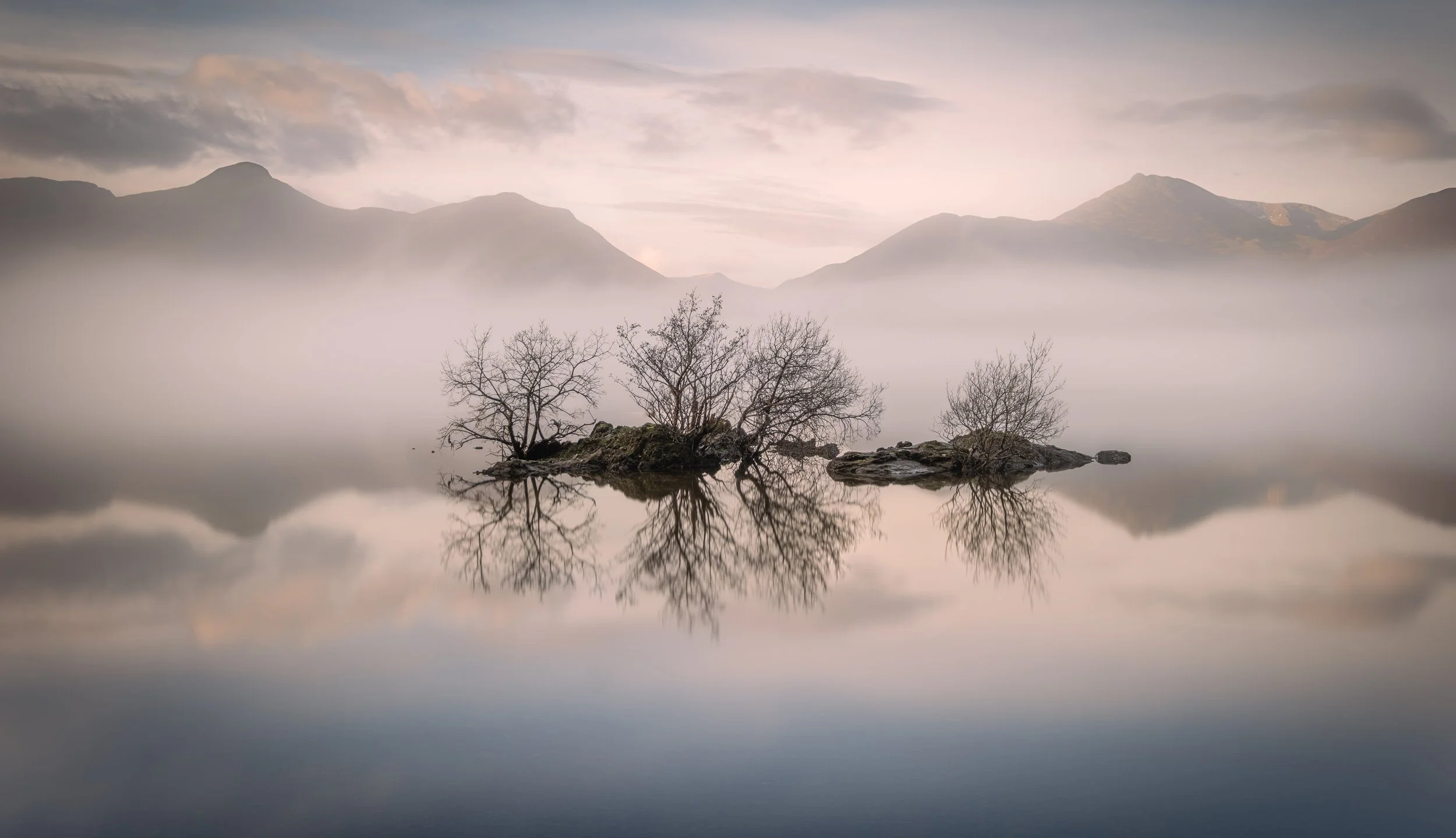1ste place by Steven Watson