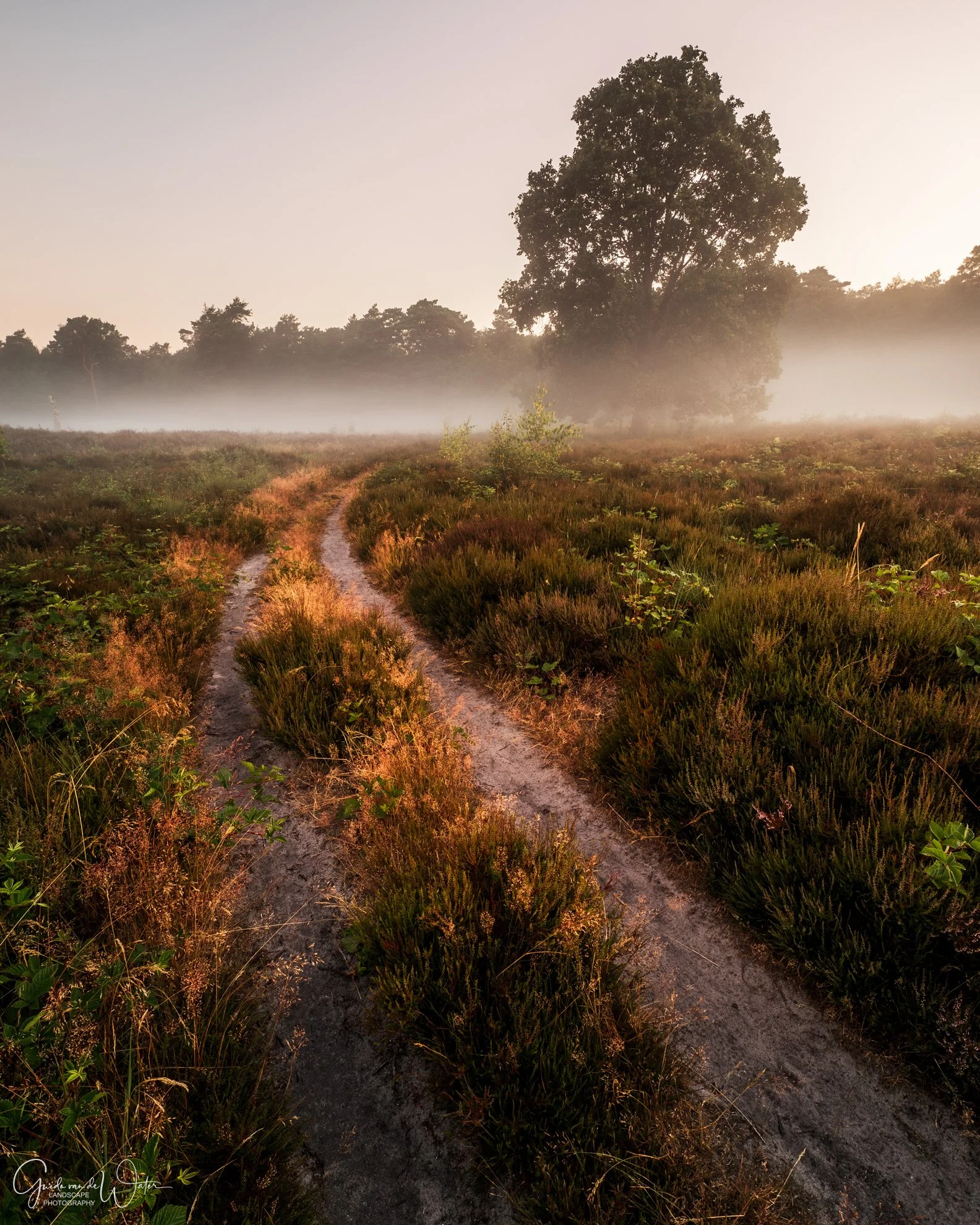 GW253795-HDR260709-KL.jpg