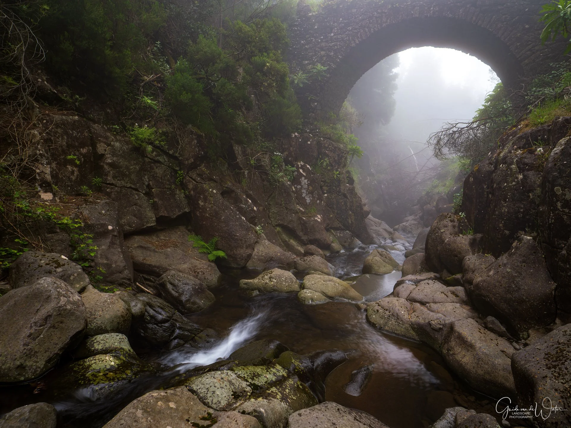 P1014199260519-KL.jpg
