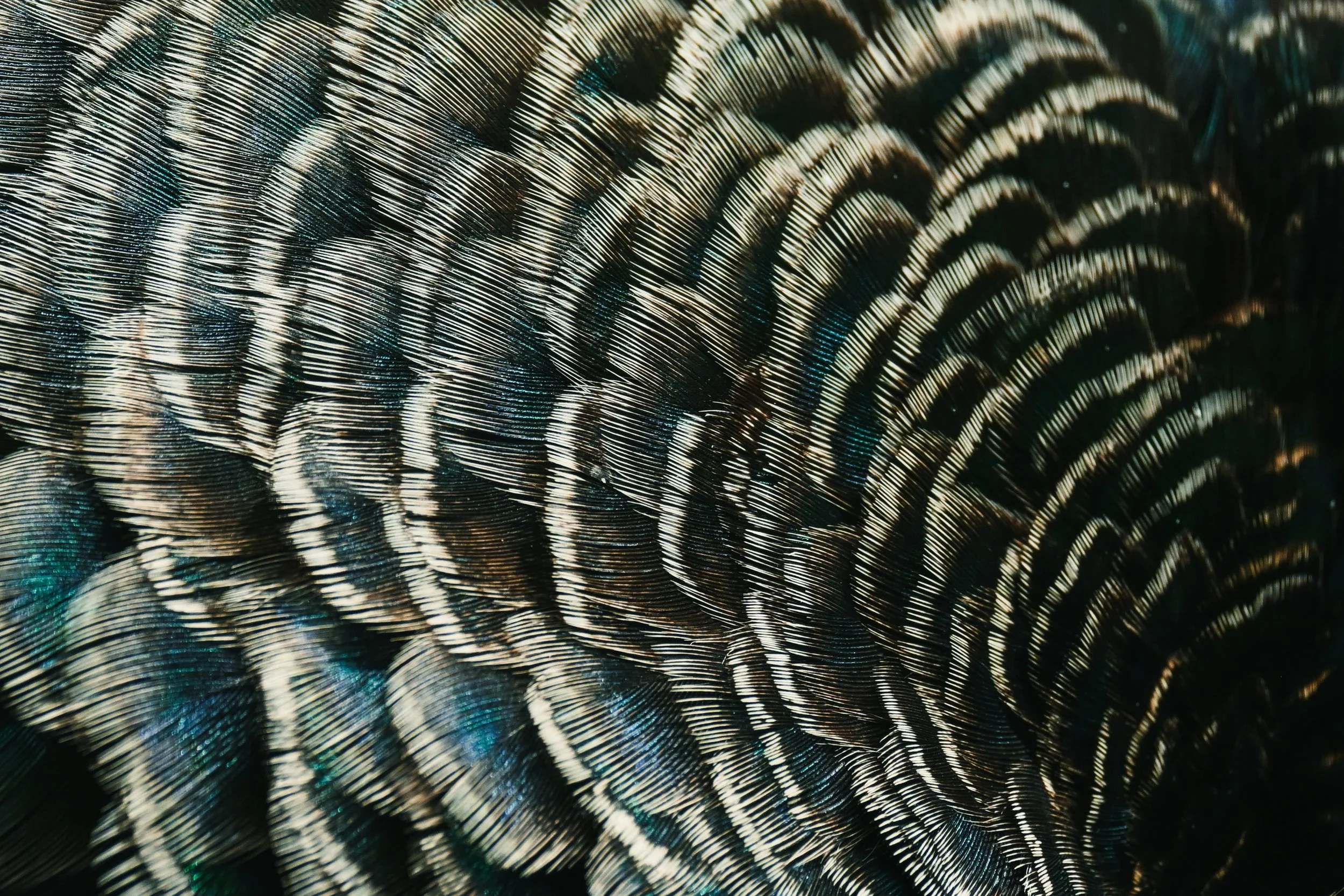 35