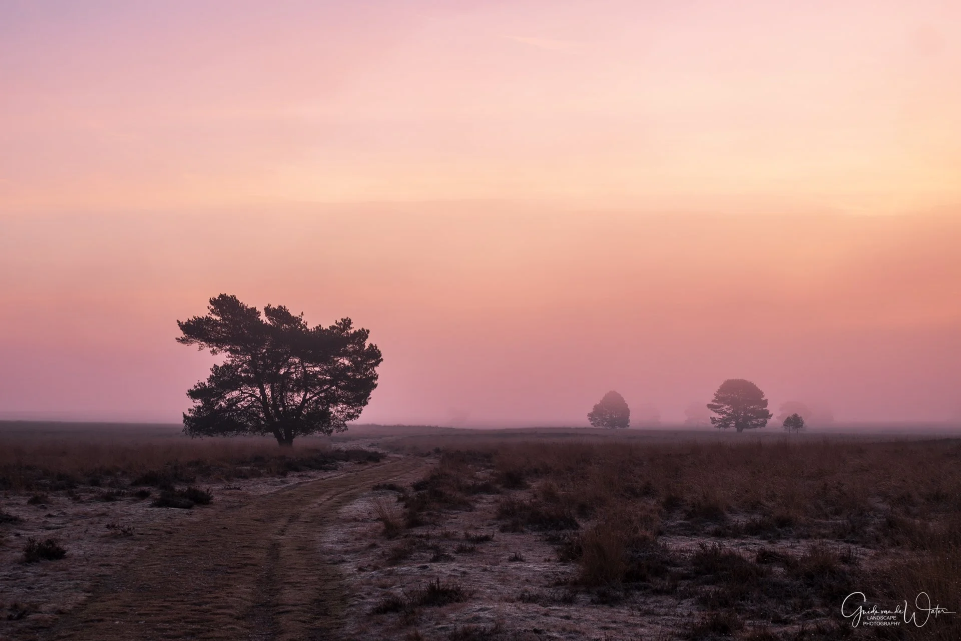A dirt road winding through a grassy field at dusk or dawn, with trees in the distance and a softly colored pink and purple sky.
