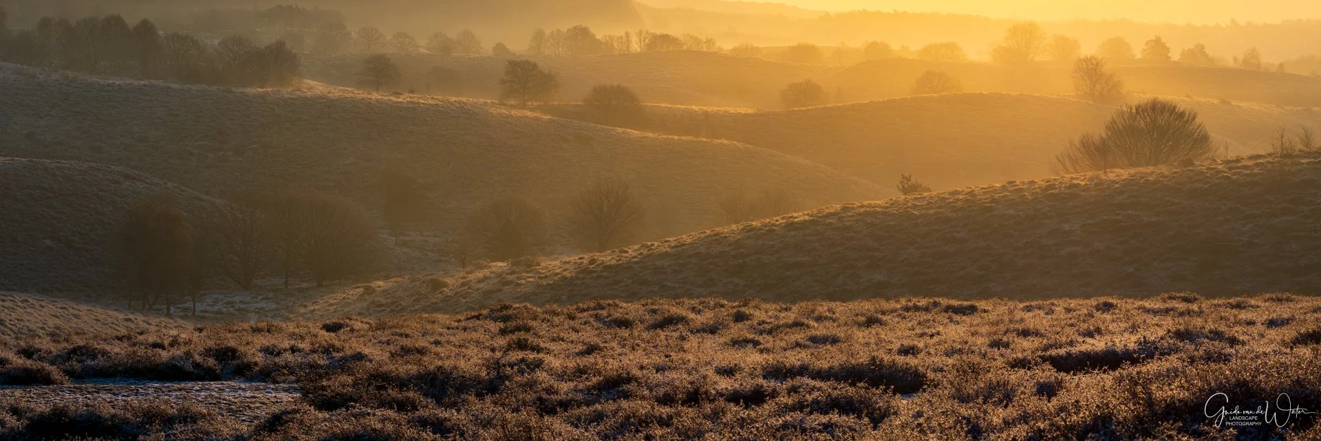 Landscape of rolling hills at sunrise, with sparse trees and vegetation, bathed in golden light.