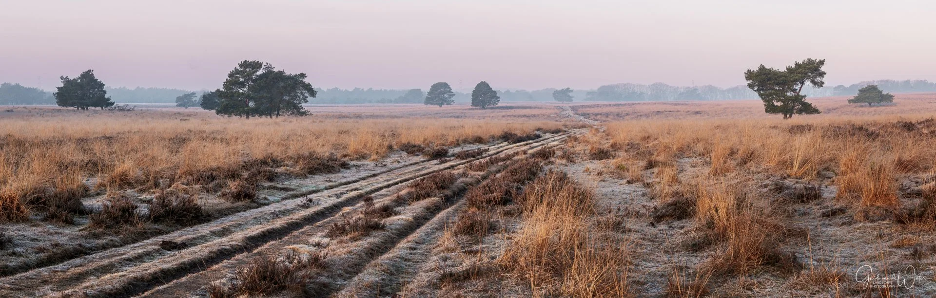 Frost-covered dirt trail running through a grassy plain.
