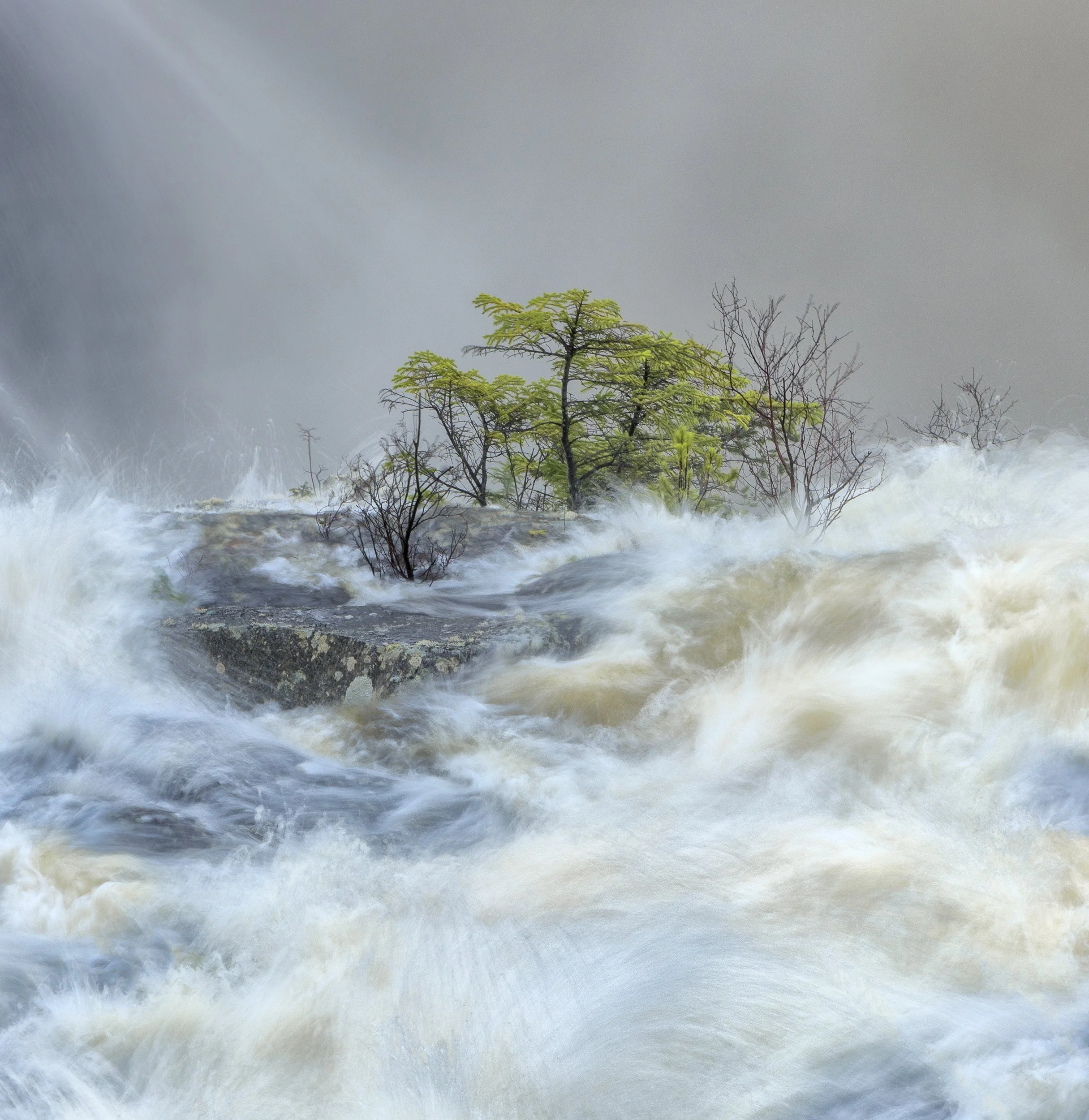 1st place by David Hickey