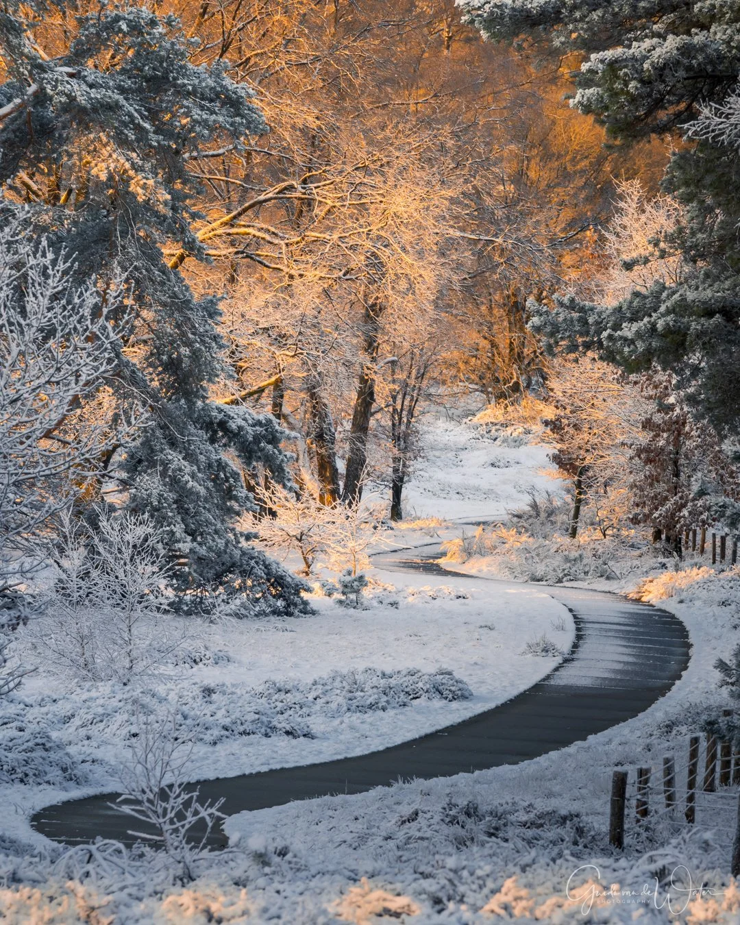 _GGW0058-ORI-KL.jpg