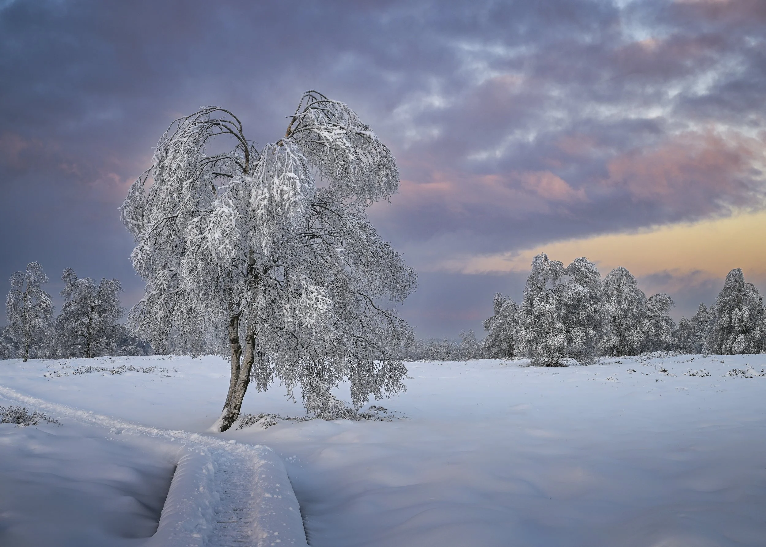 2nd place by Peter Luickhardt