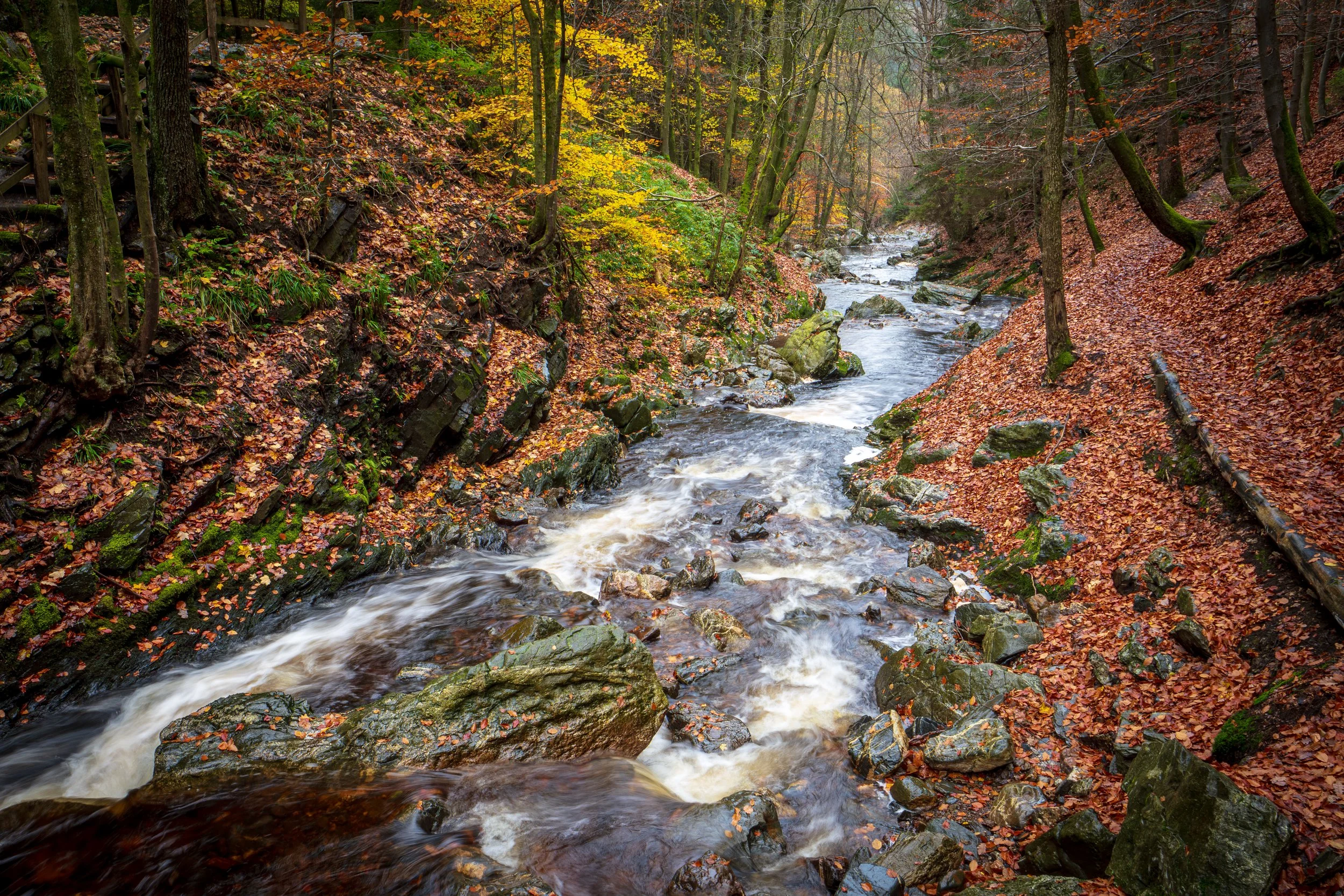 P1016710251101-ORI.jpg