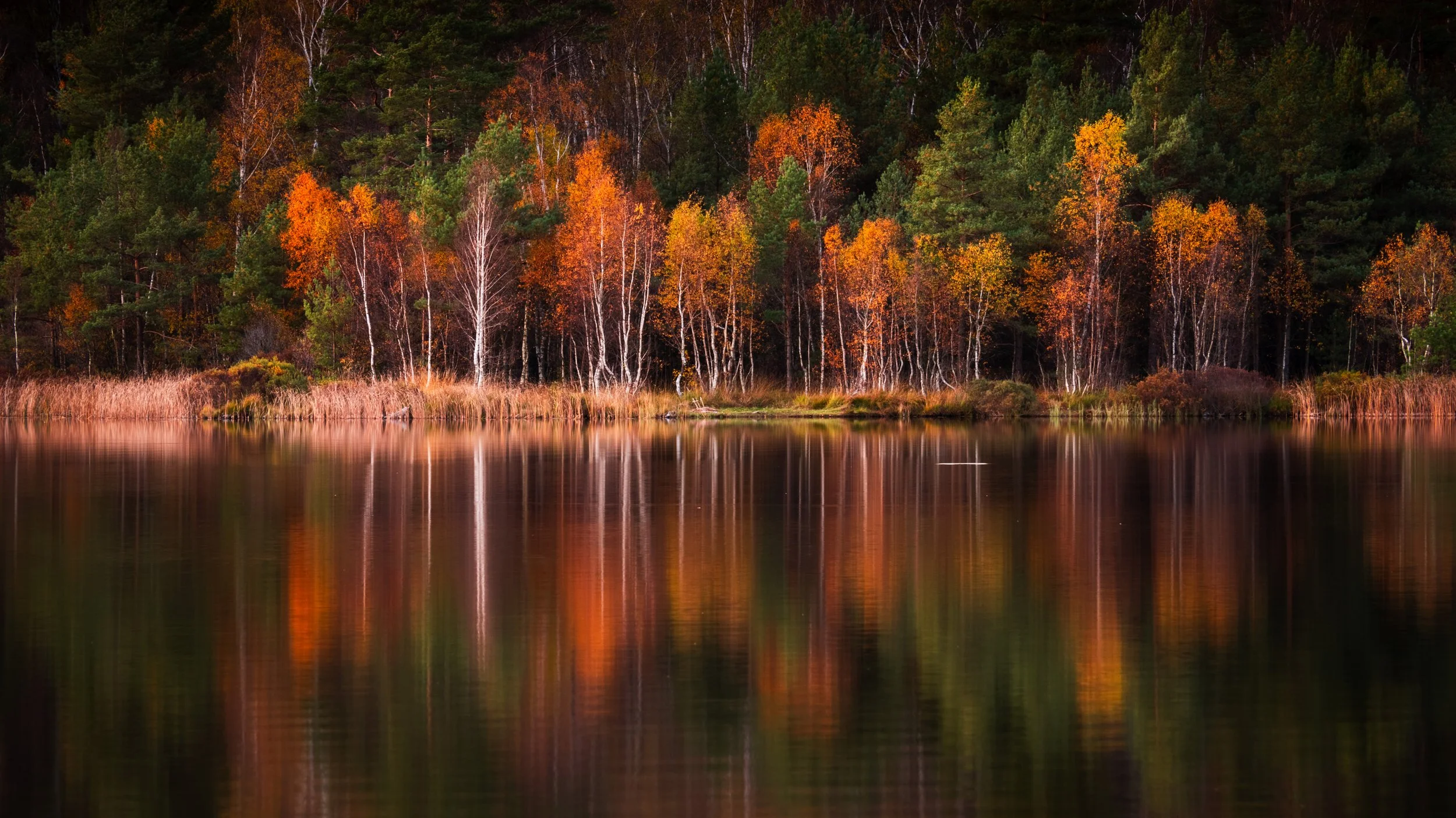 1ste Anders Claesson