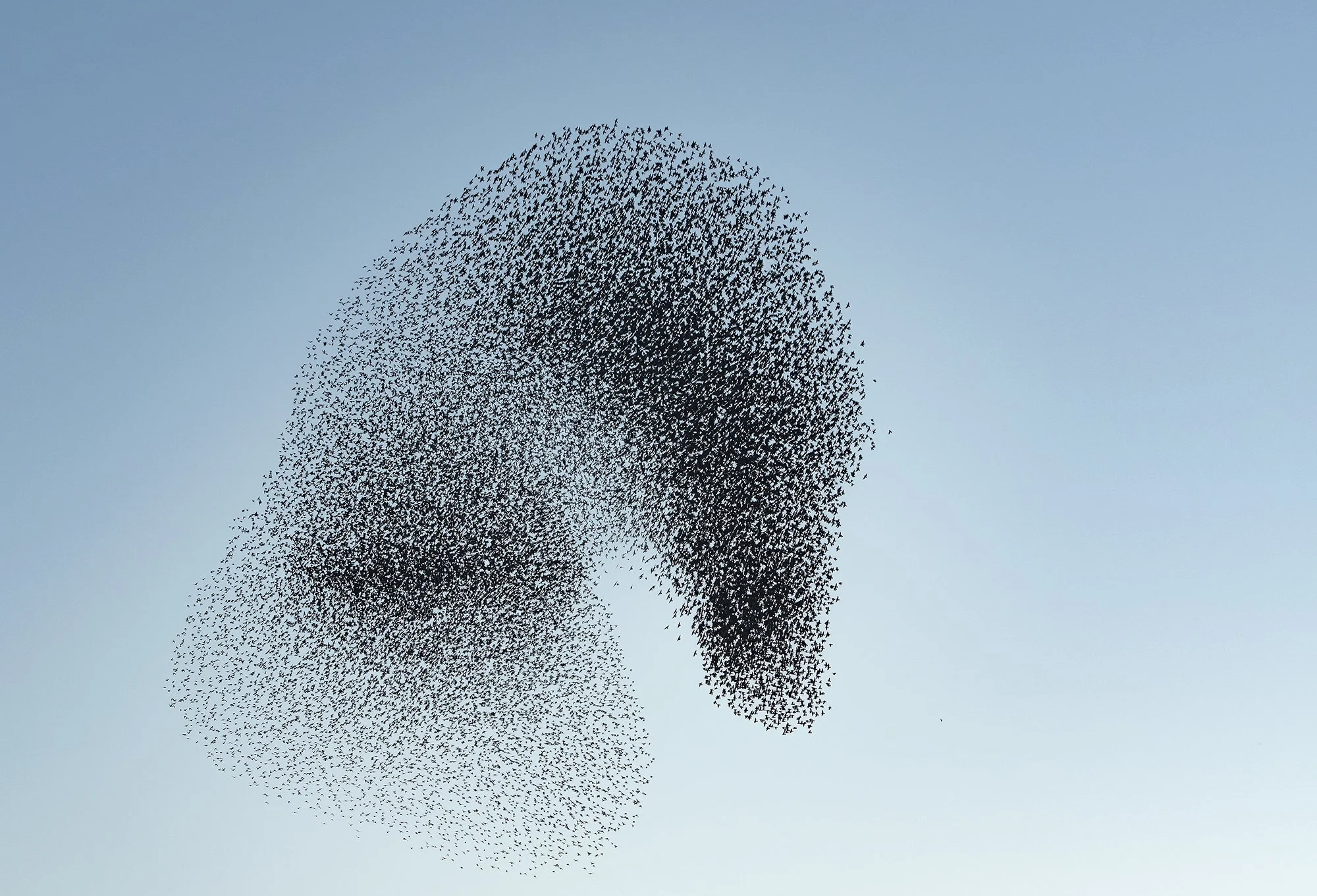 2nd place by Walther Wintermans