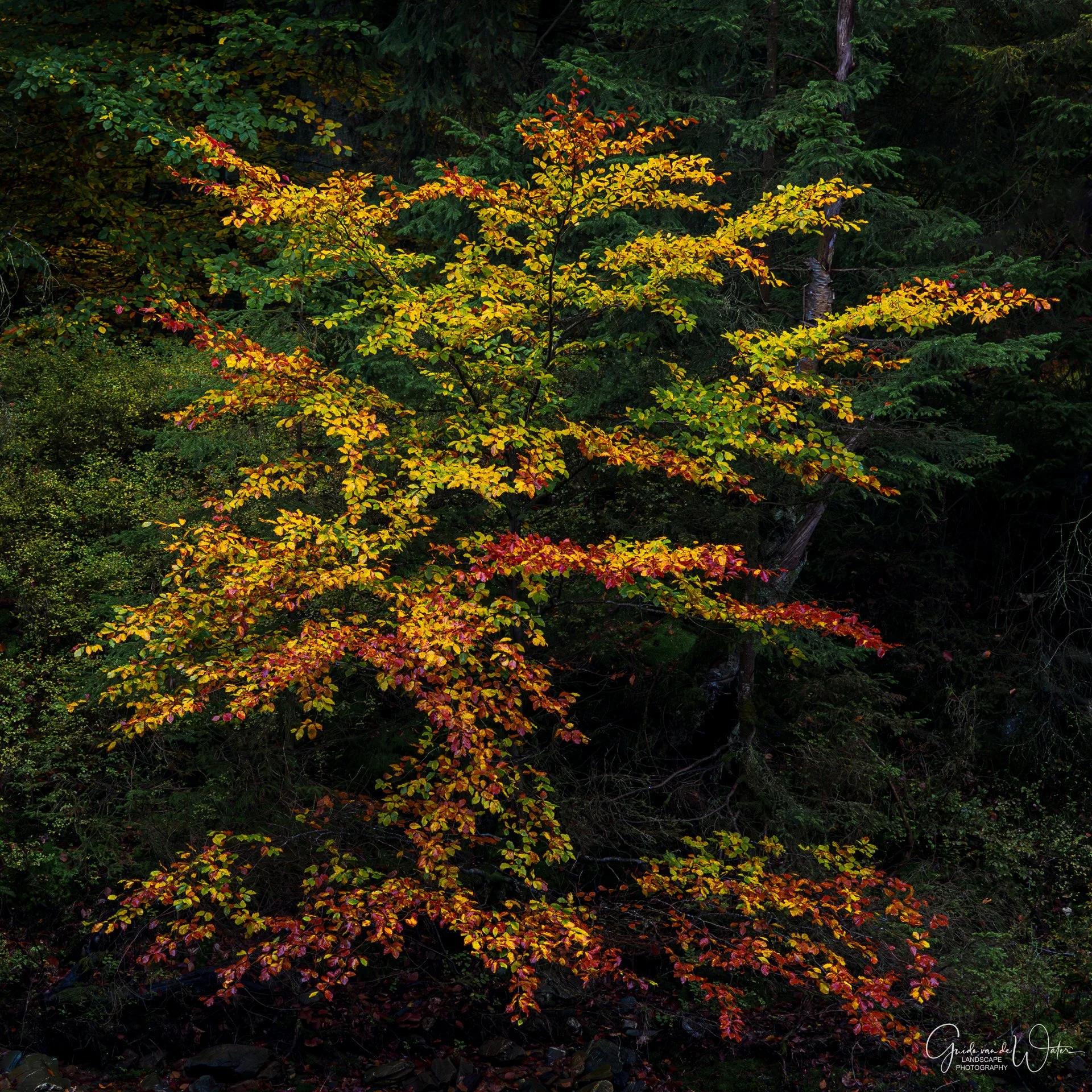 _GGW0637-Verbeterd-NR231028-KL.jpg