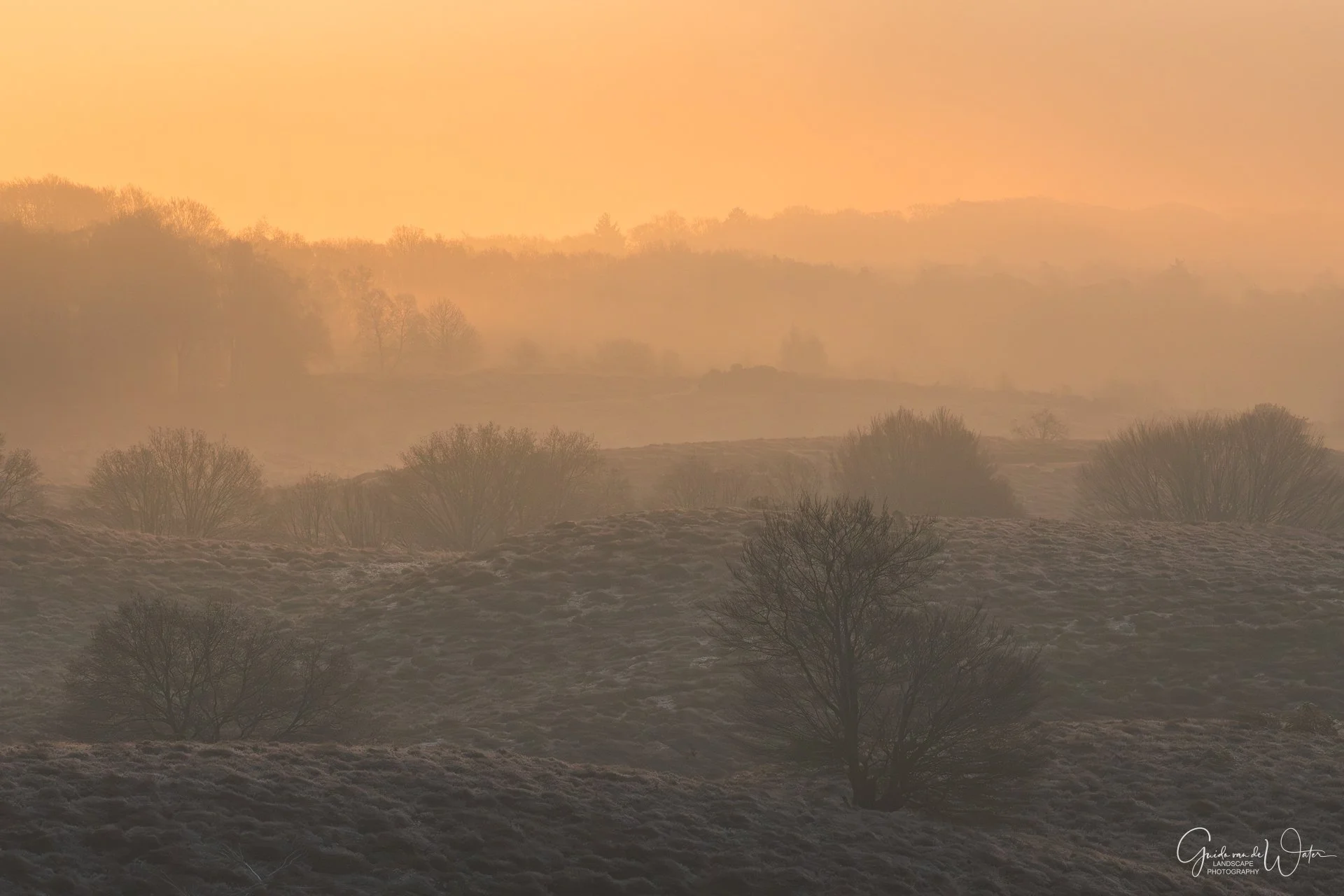 A landscape of rolling hills and trees at sunset with a warm, orange glow and misty atmosphere.