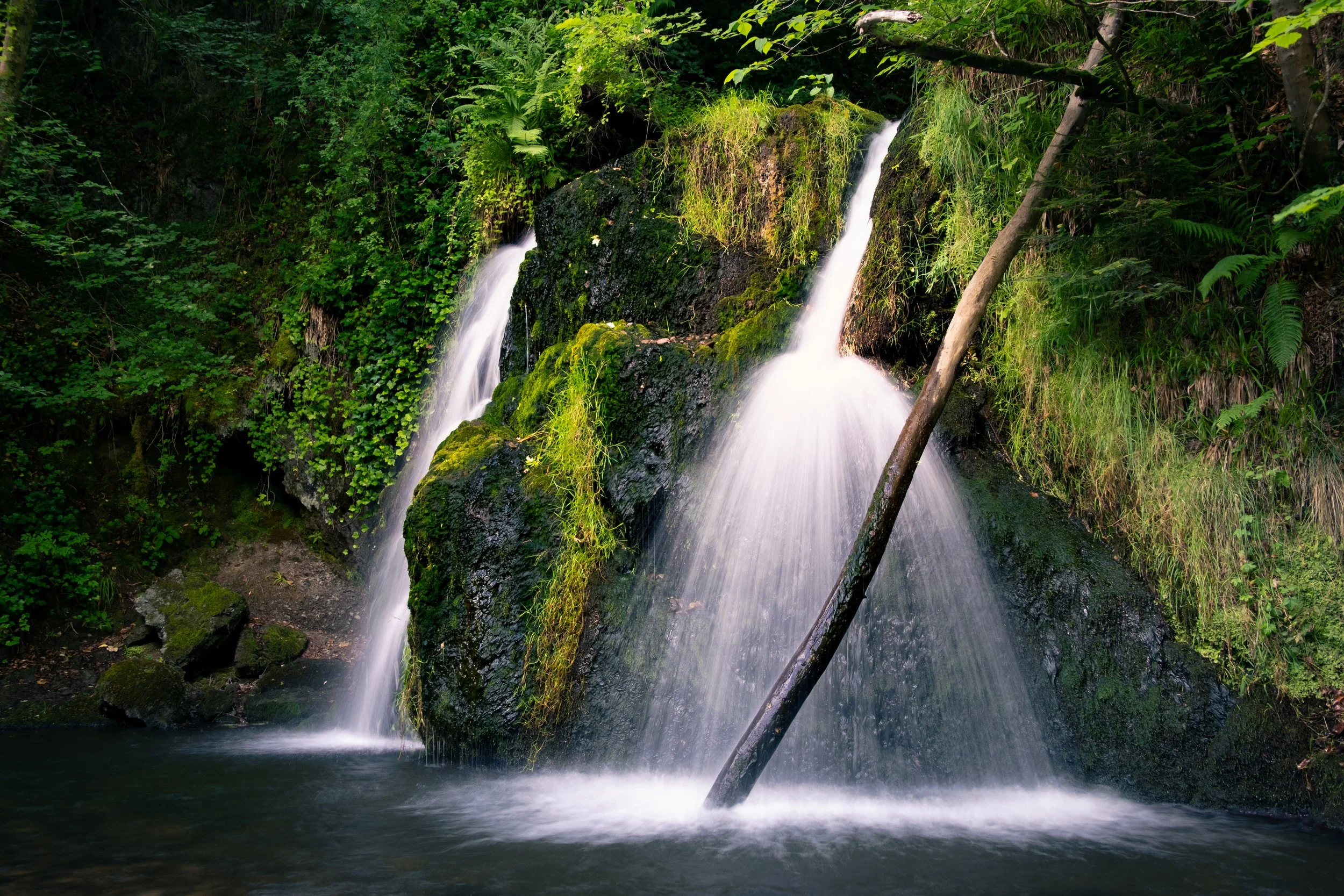Sander Kers Fairy+Glen+Falls.jpg