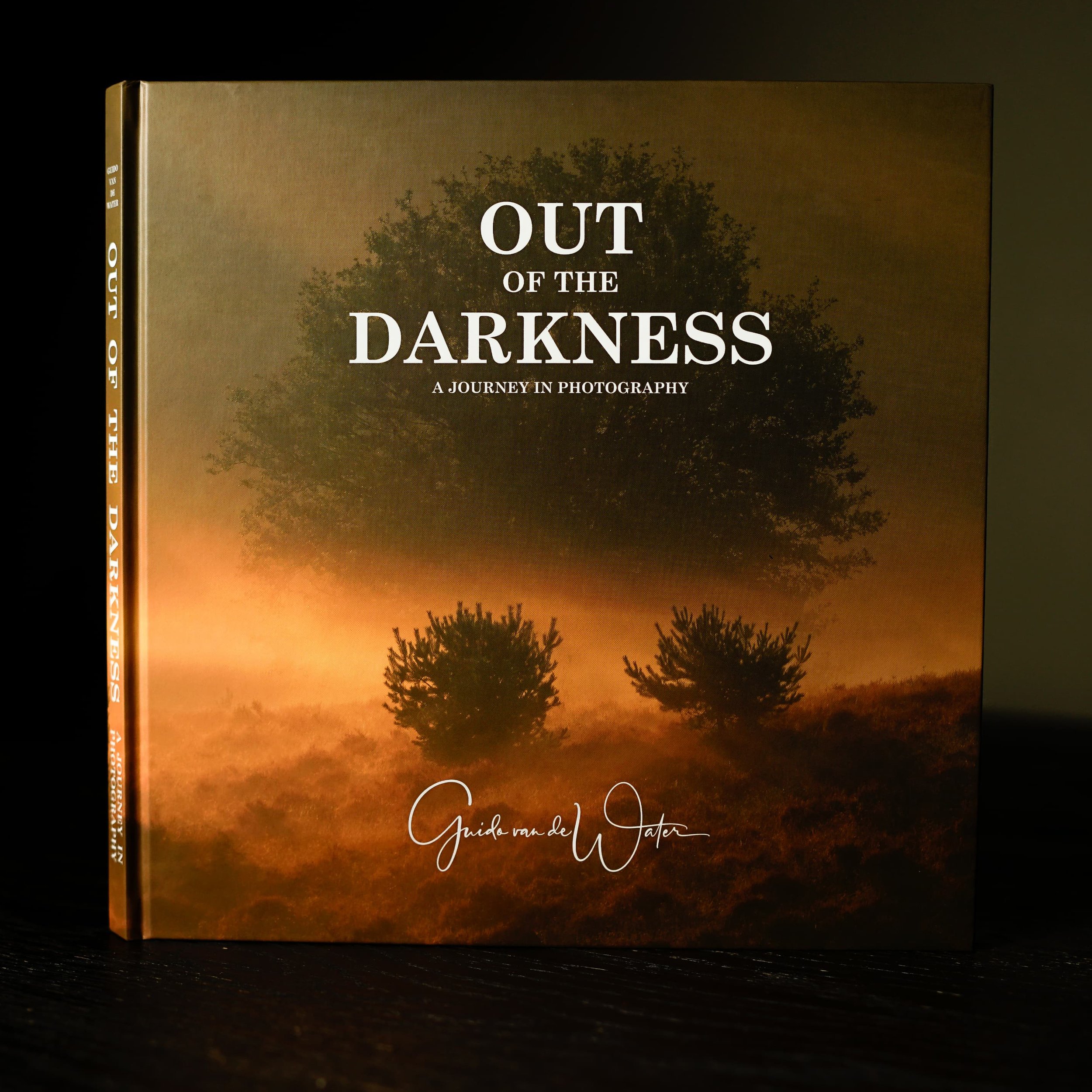 Out of the Darkness